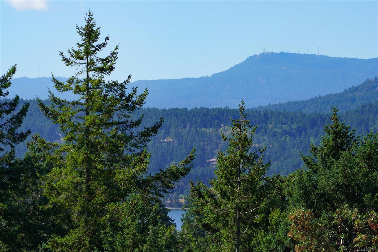 241 Little Mountain Rd