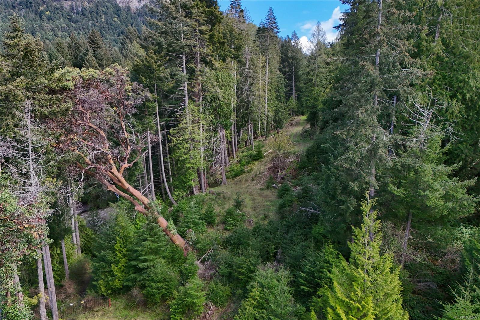 122 Narrows West Rd