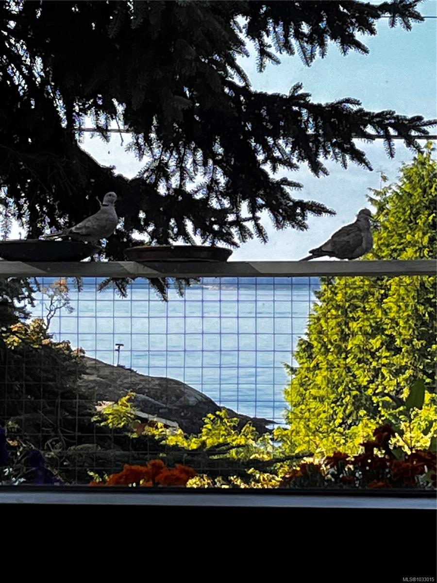 27146 Schooner Way