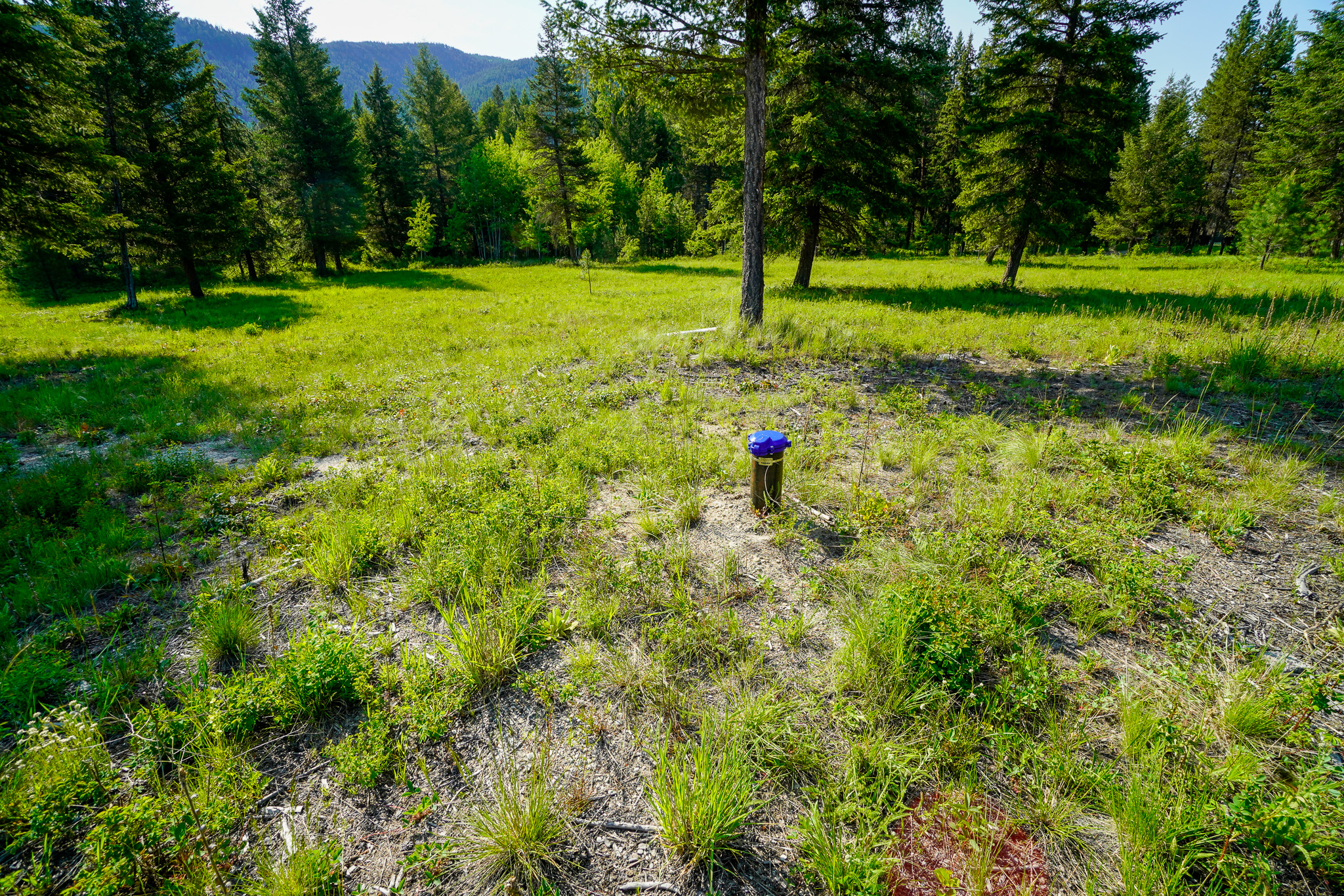 Lot 2 Mary G Road