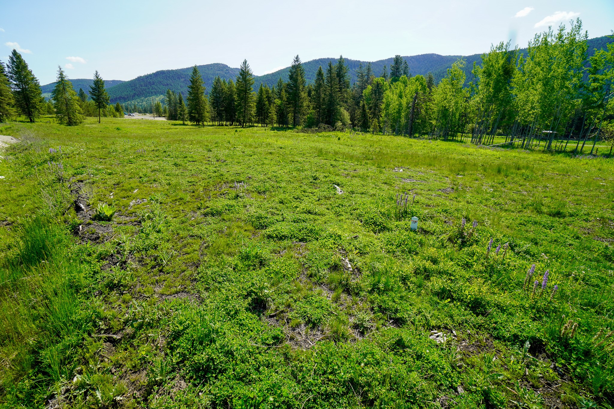 Lot 3 Mary G Road