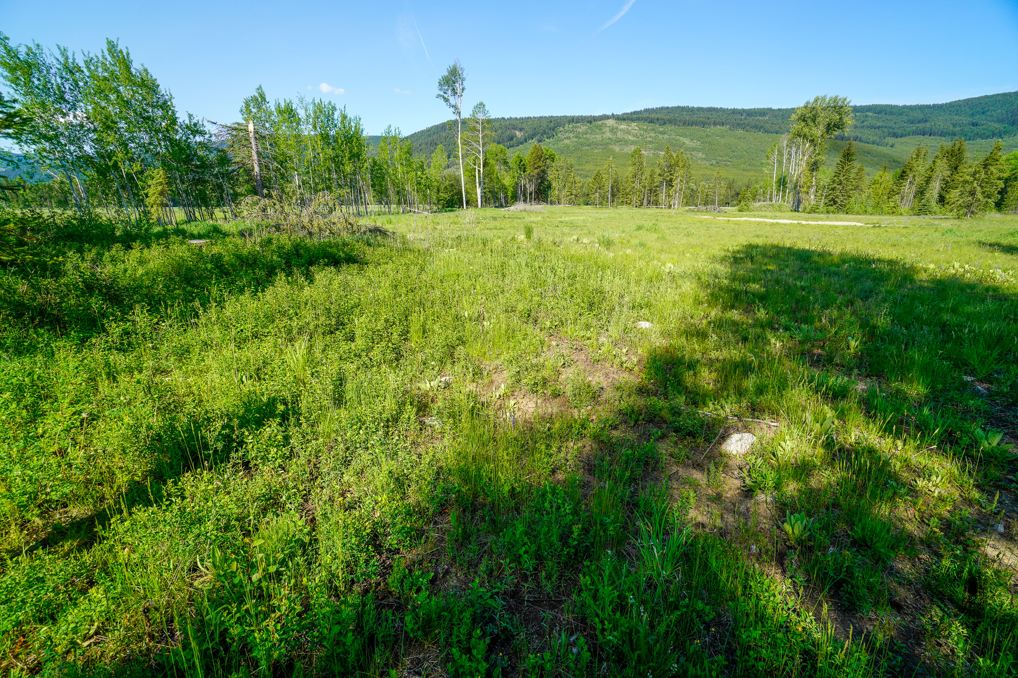 Lot 3 Mary G Road