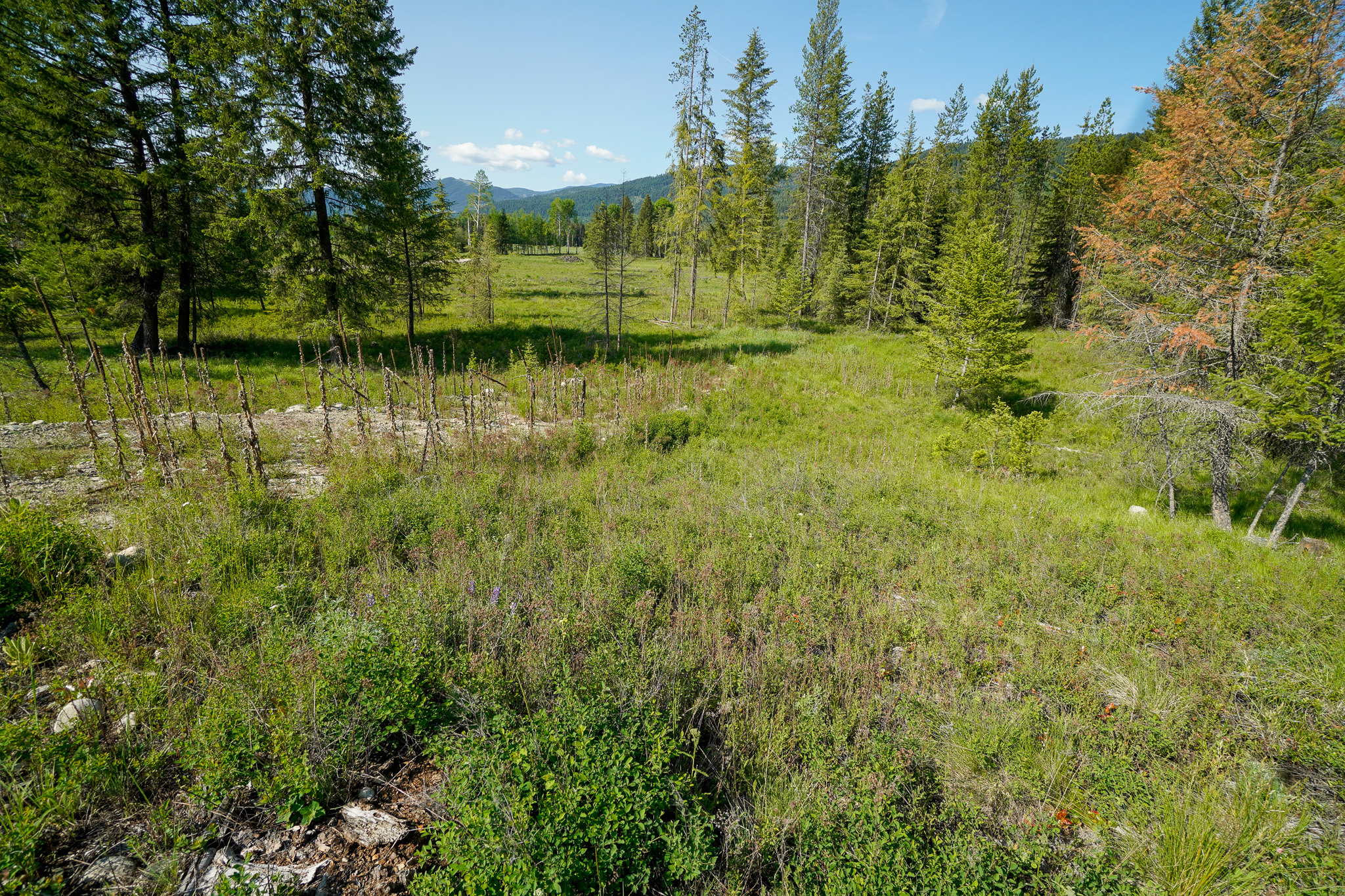 Lot 4 Mary G Road