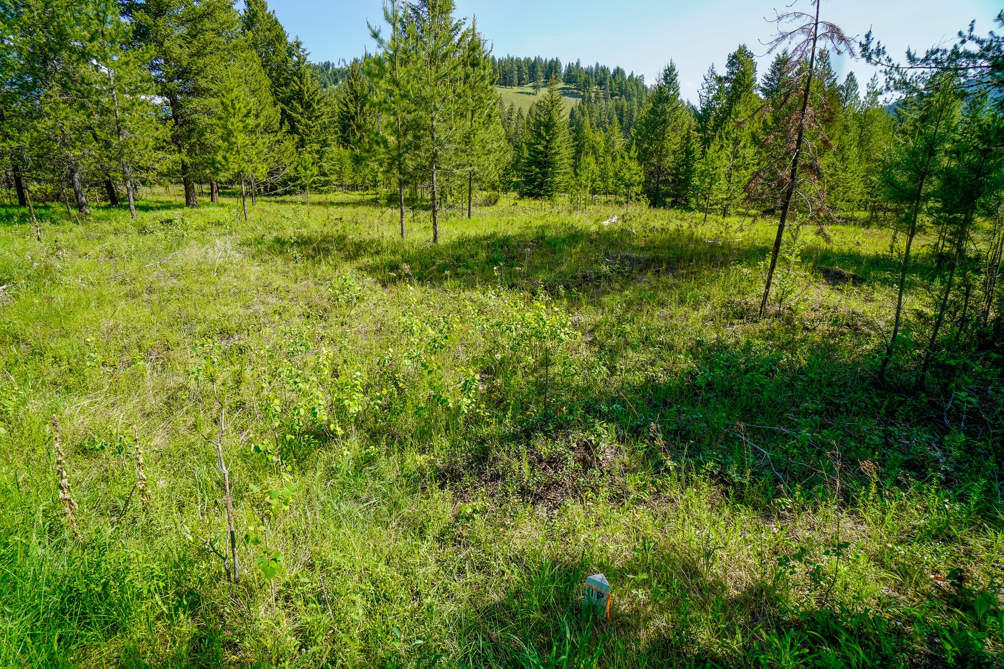 Lot 5 Mary G Road