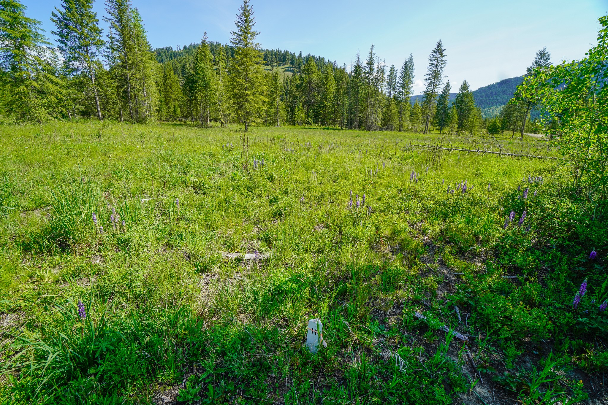 Lot 5 Mary G Road