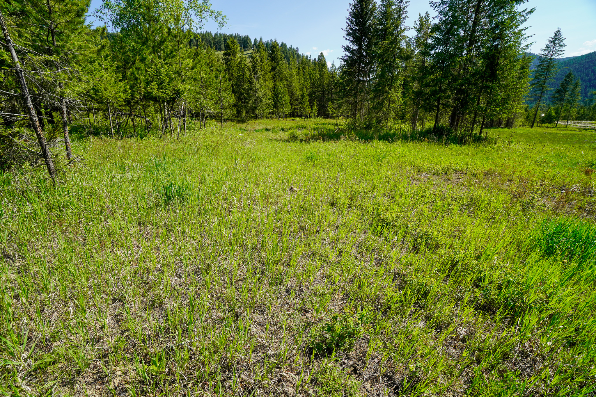 Lot 5 Mary G Road