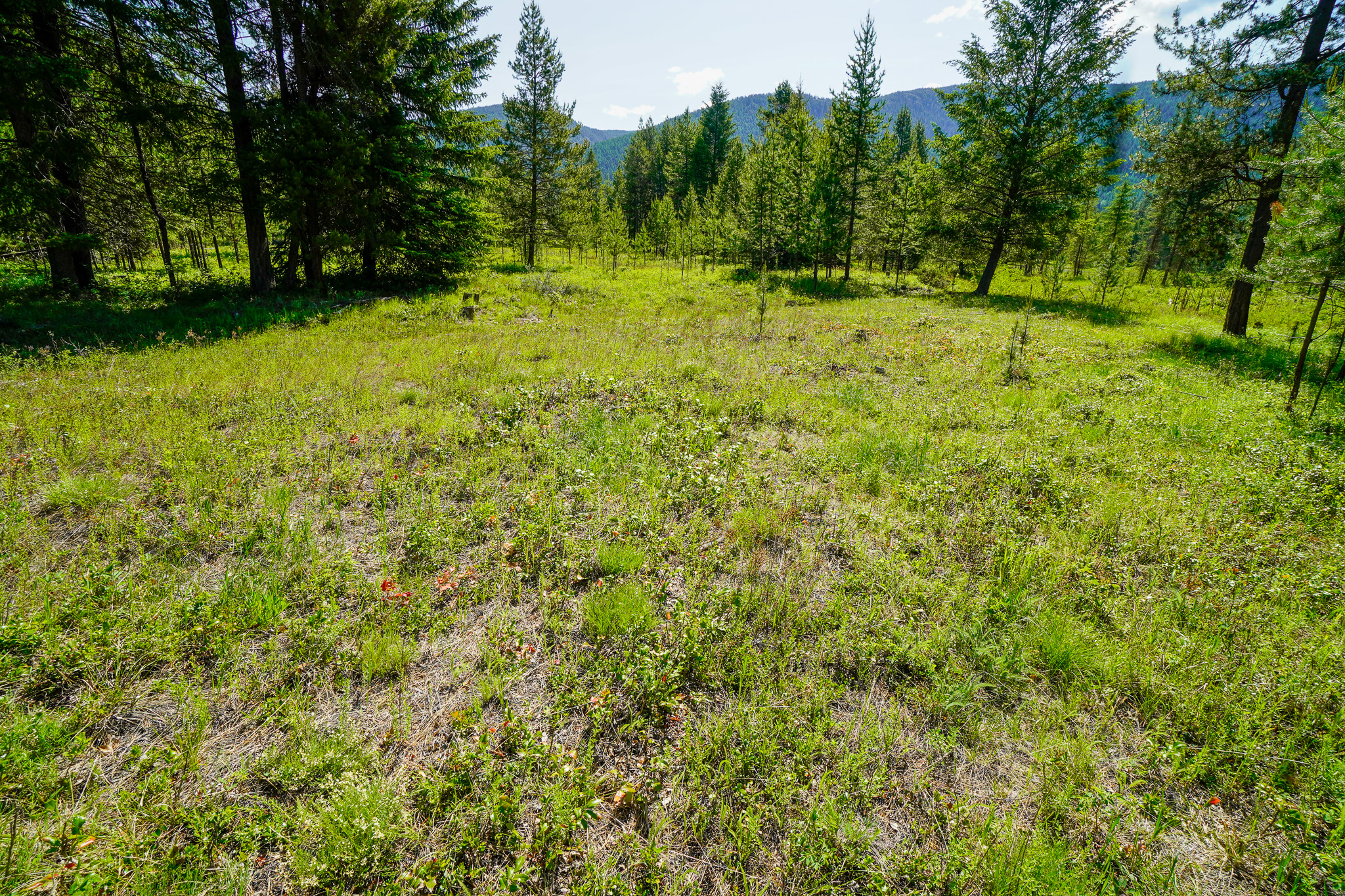 Lot 6 Mary G Road