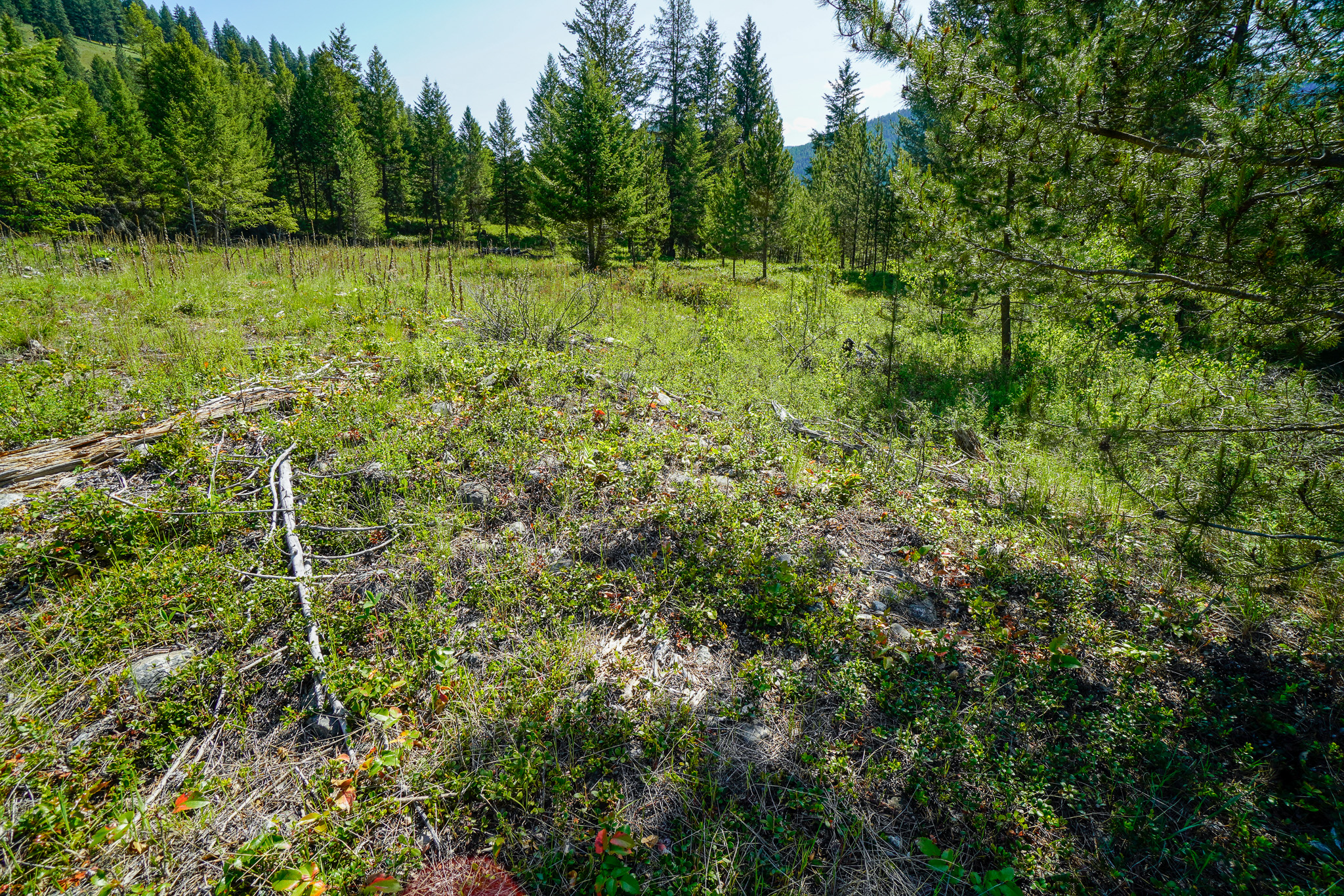 Lot 6 Mary G Road
