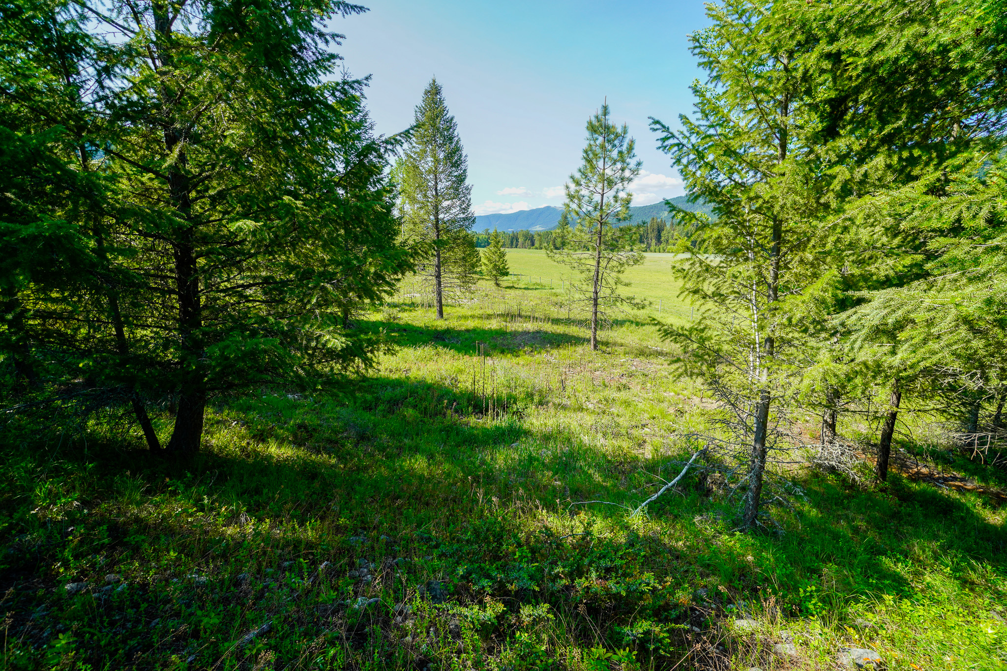 Lot 7 Mary G Road