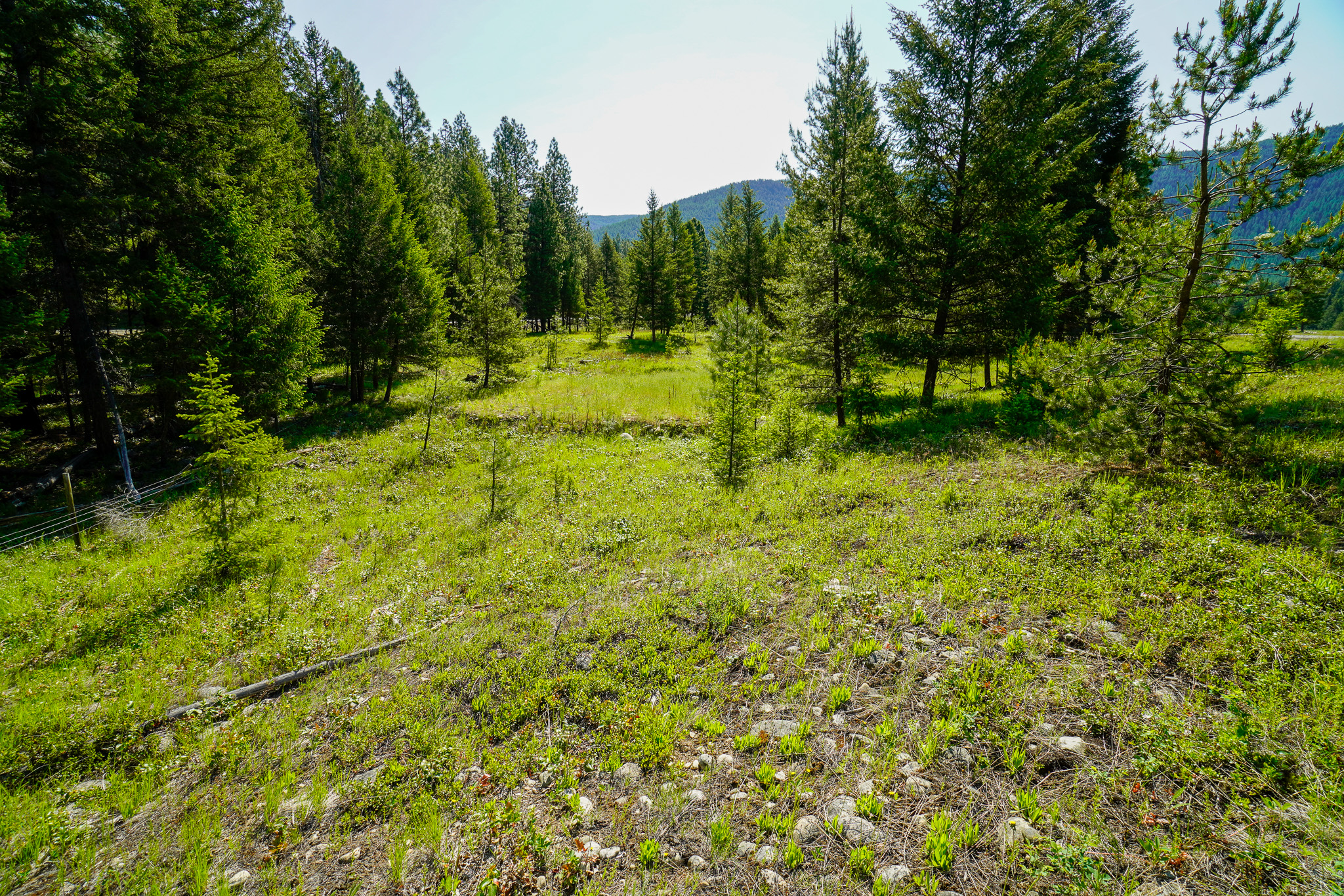 Lot 8 Mary G Road