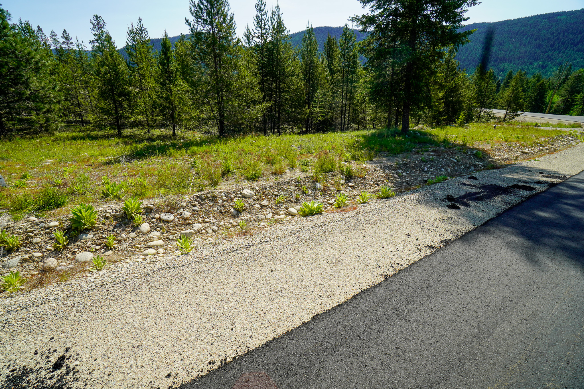 Lot 10 Mary G Road