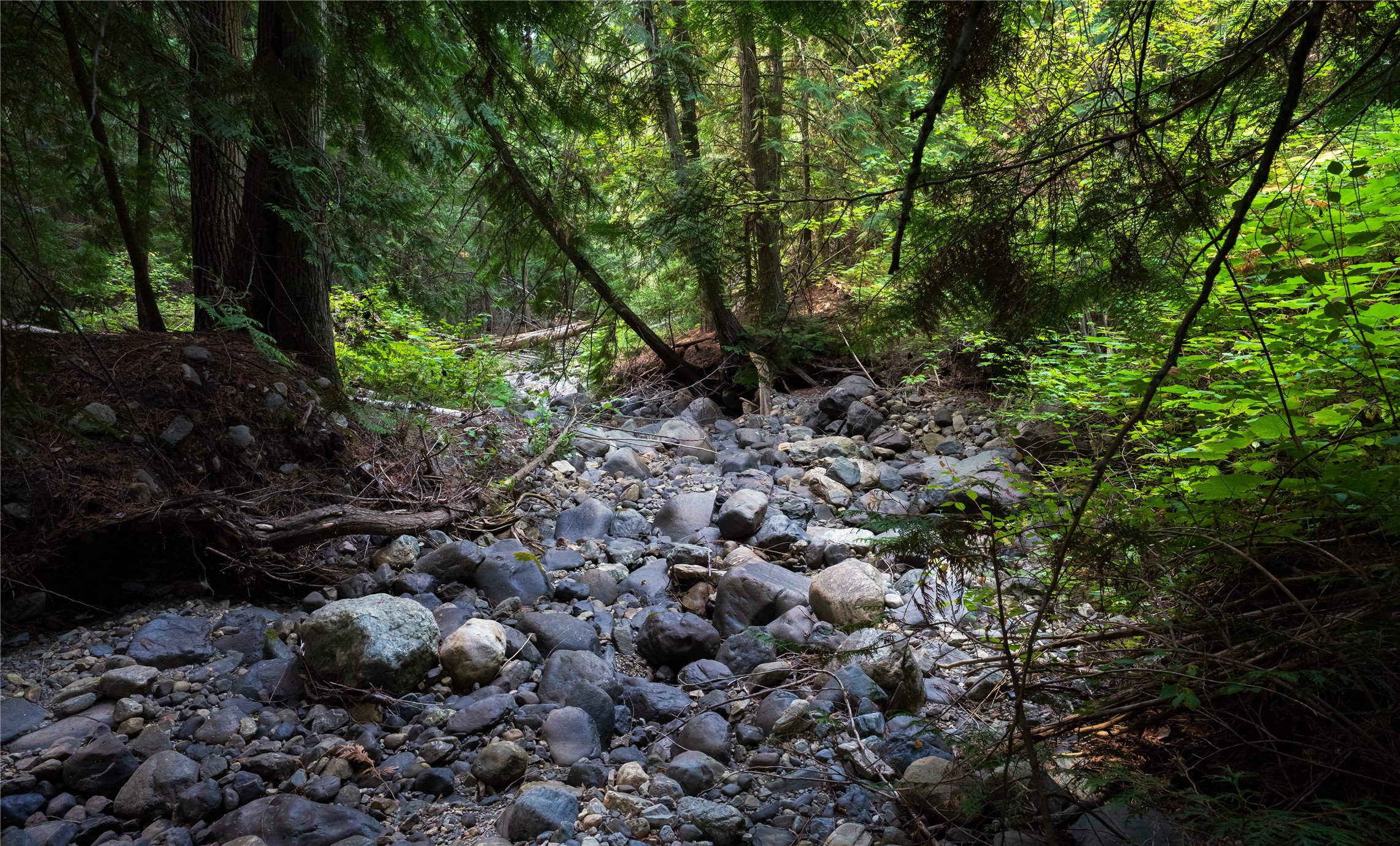Lot 1 Hwy 33 Highway E