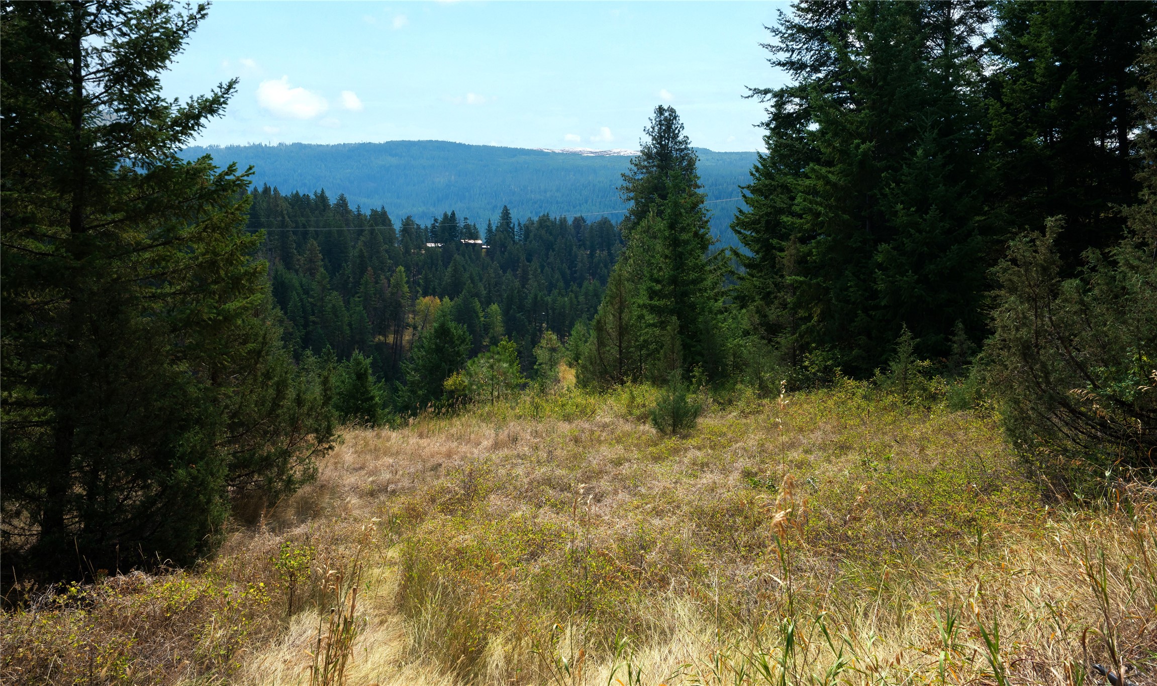 Lot 1 Hwy 33 Highway E
