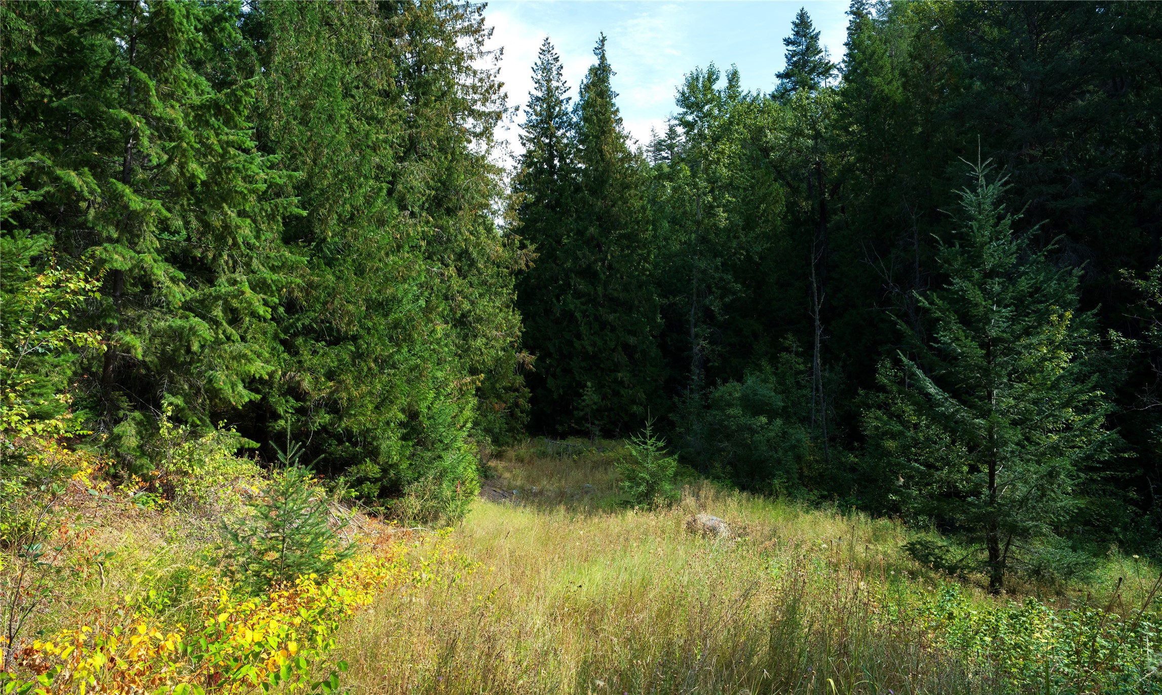 Lot 1 Hwy 33 Highway E
