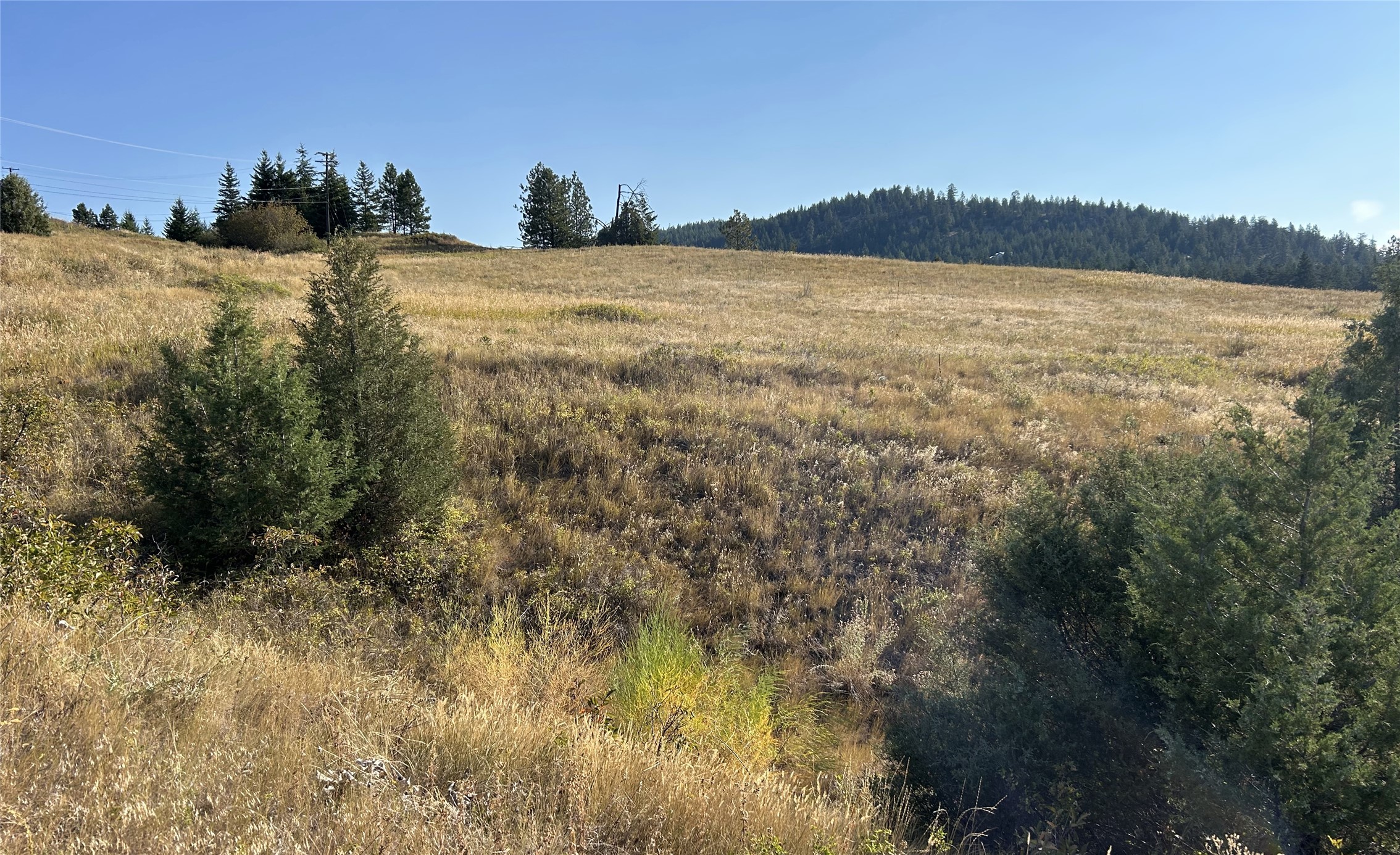 Lot 1 Hwy 33 Highway E