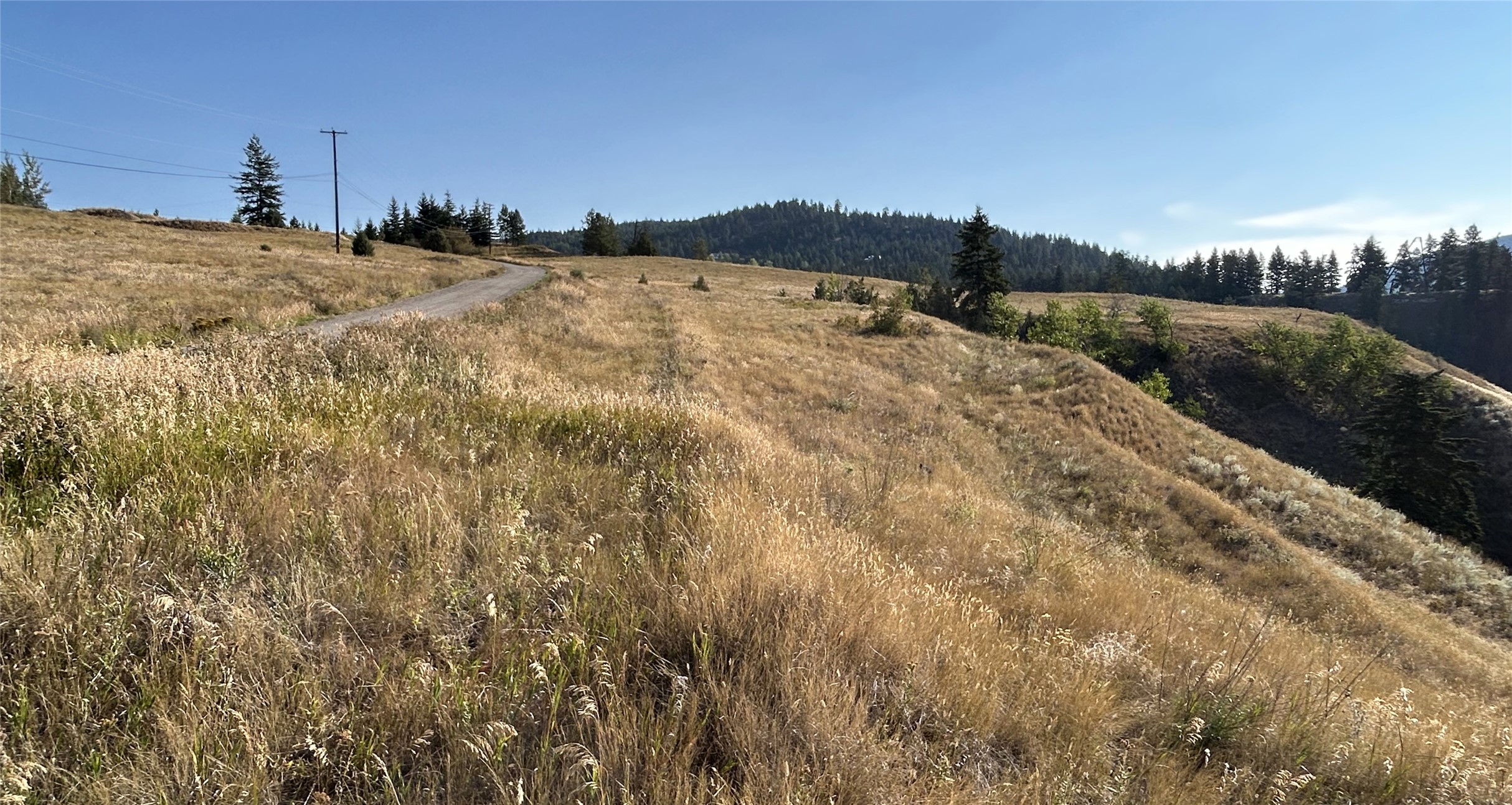 Lot 1 Hwy 33 Highway E