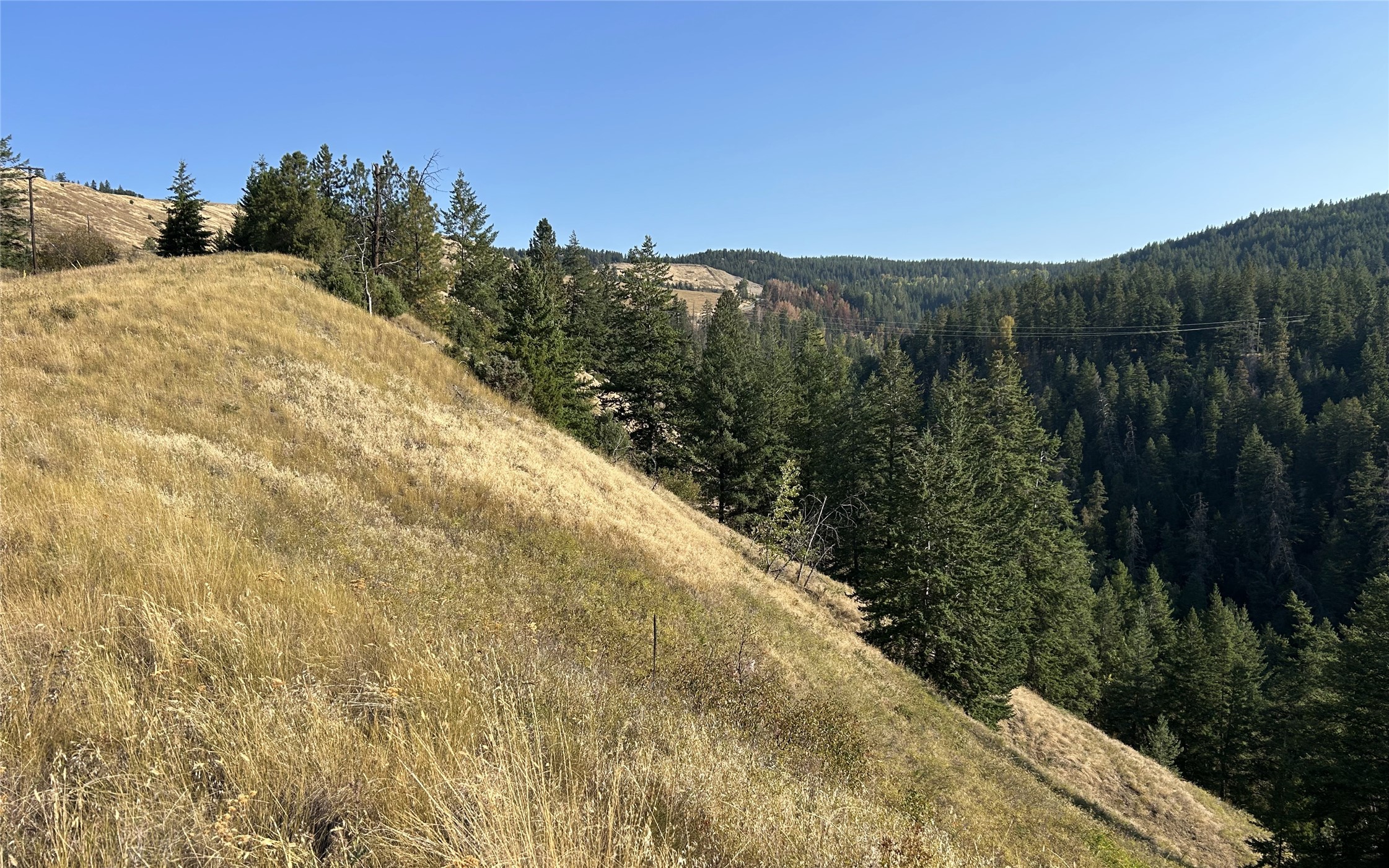 Lot 1 Hwy 33 Highway E