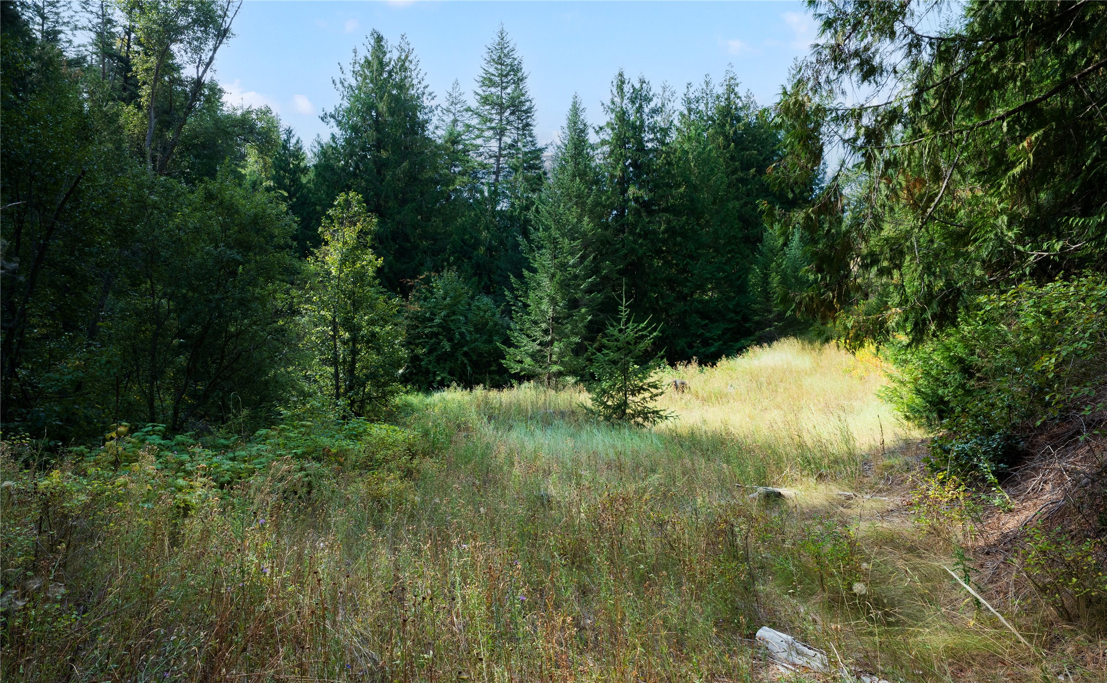 Lot 1 Hwy 33 Highway E