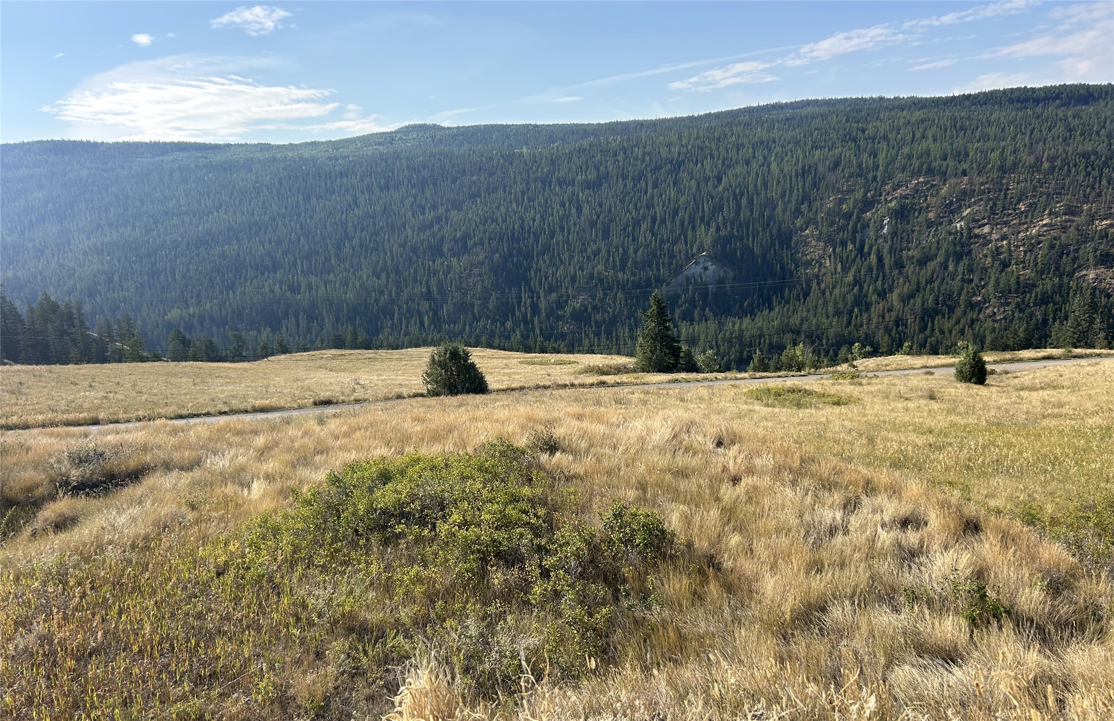 Lot 1 Hwy 33 Highway E