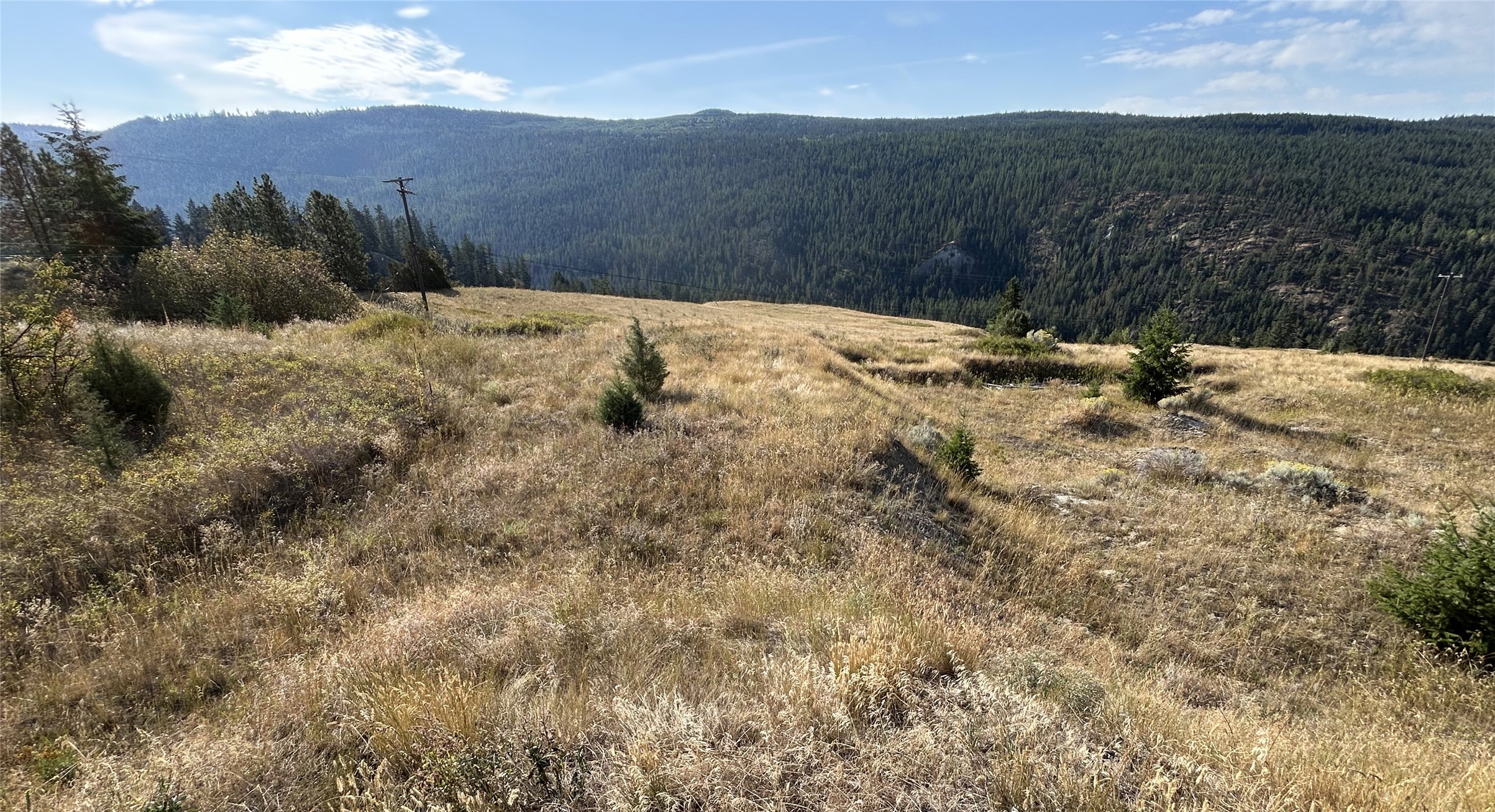 Lot 1 Hwy 33 Highway E