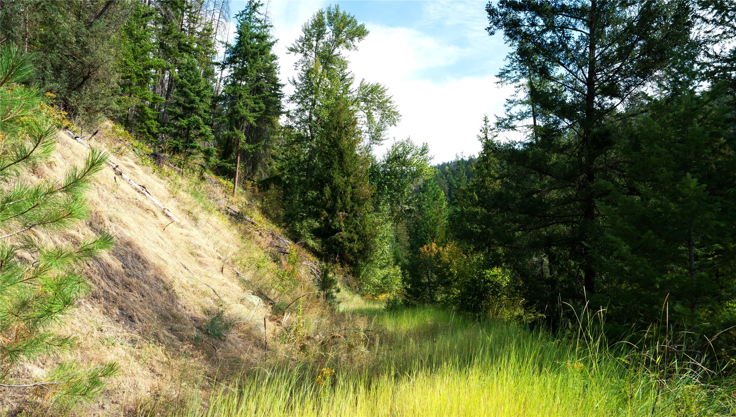 Lot 1 Hwy 33 Highway E
