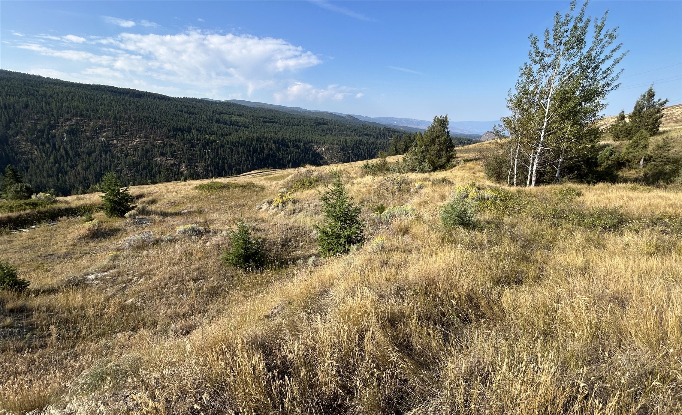 Lot 1 Hwy 33 Highway E