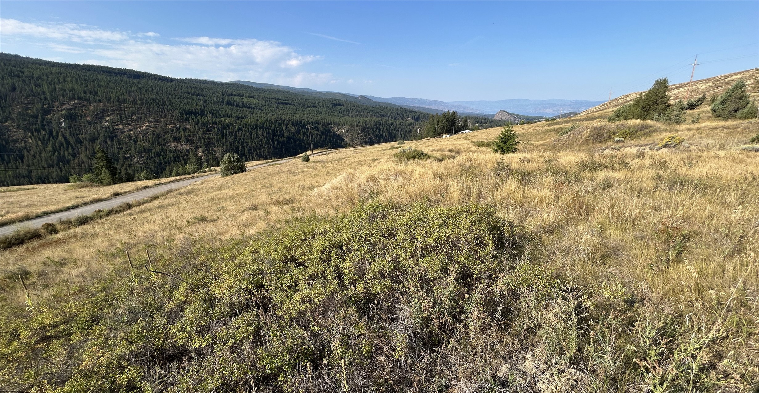 Lot 1 Hwy 33 Highway E