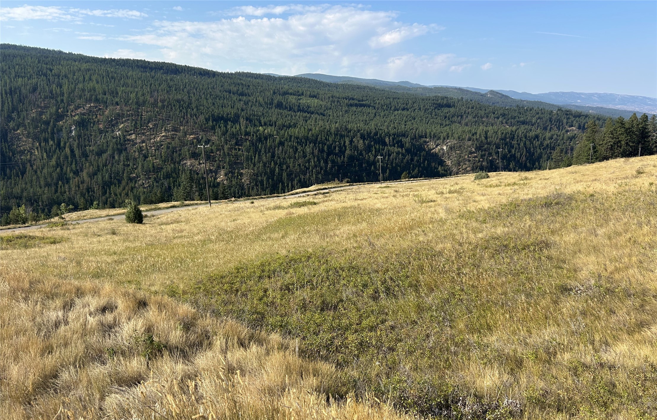 Lot 1 Hwy 33 Highway E