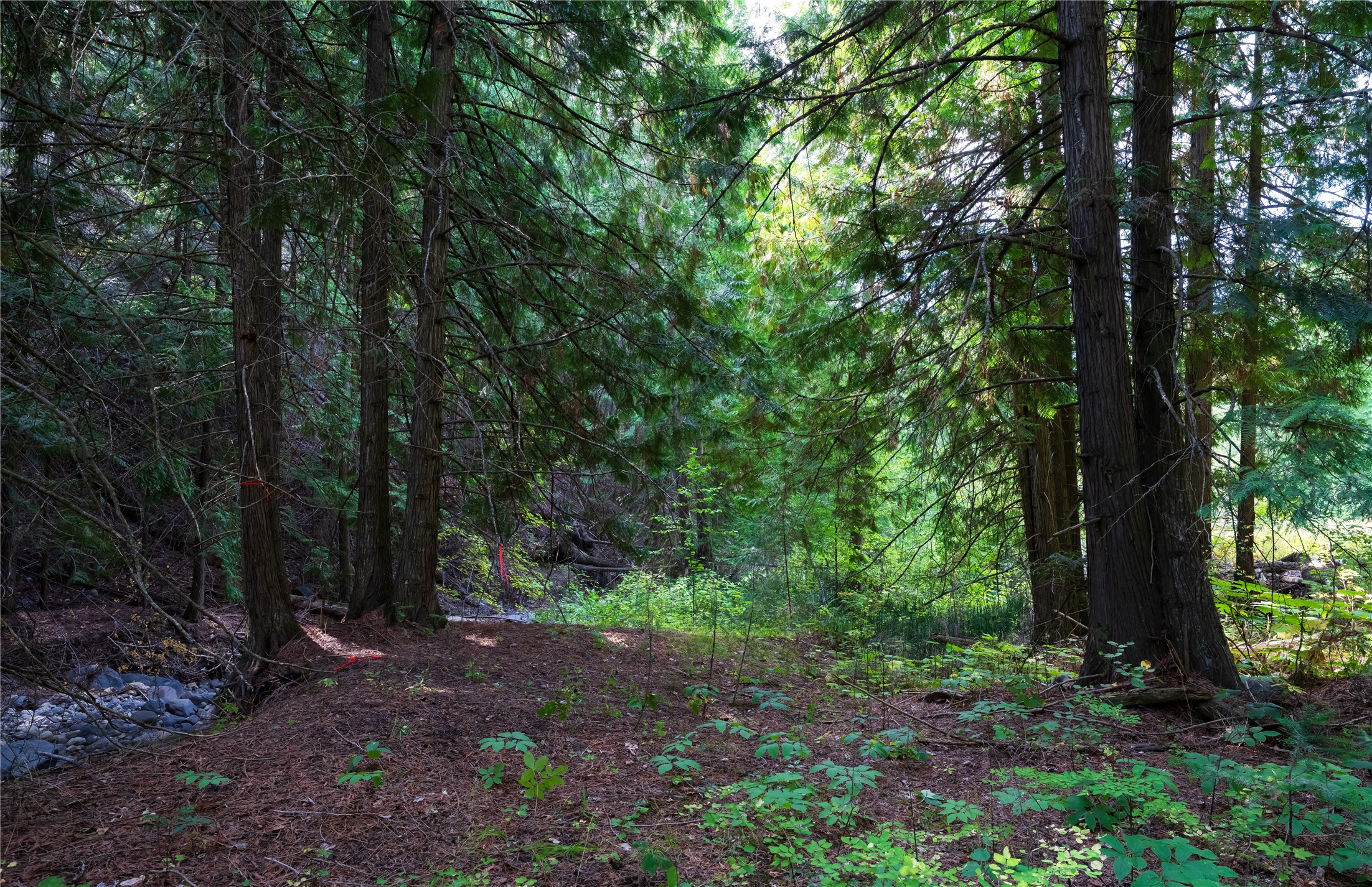 Lot 1 Hwy 33 Highway E