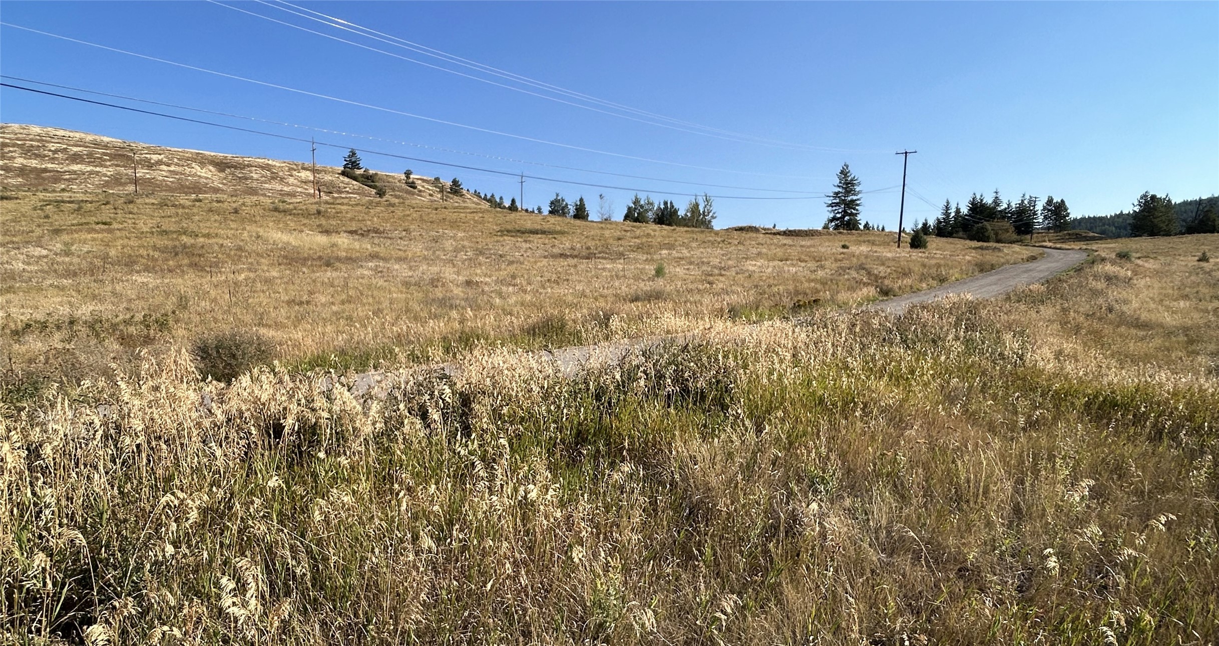 Lot 1 Hwy 33 Highway E