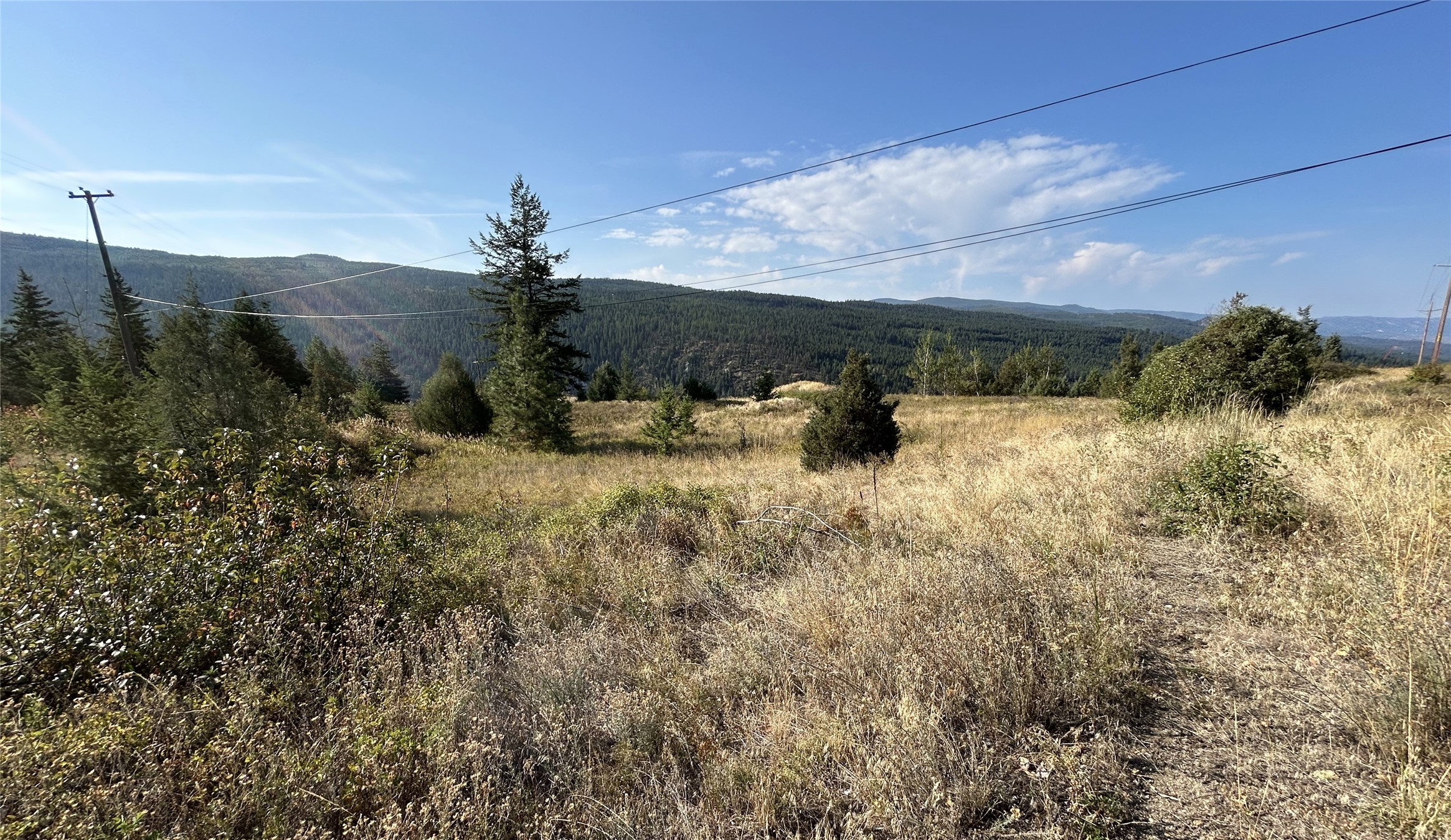Lot 1 Hwy 33 Highway E