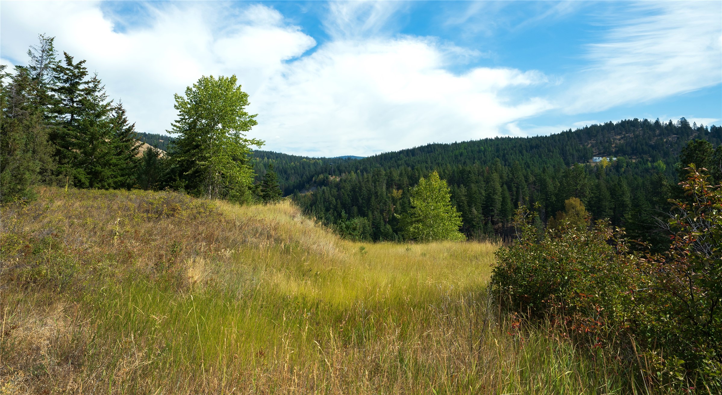 Lot 1 Hwy 33 Highway E
