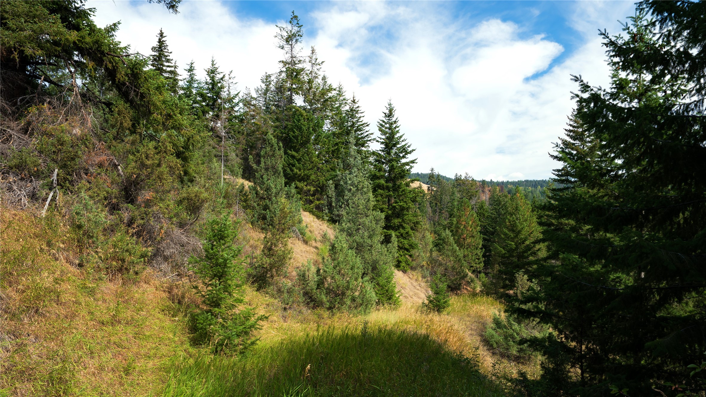 Lot 1 Hwy 33 Highway E
