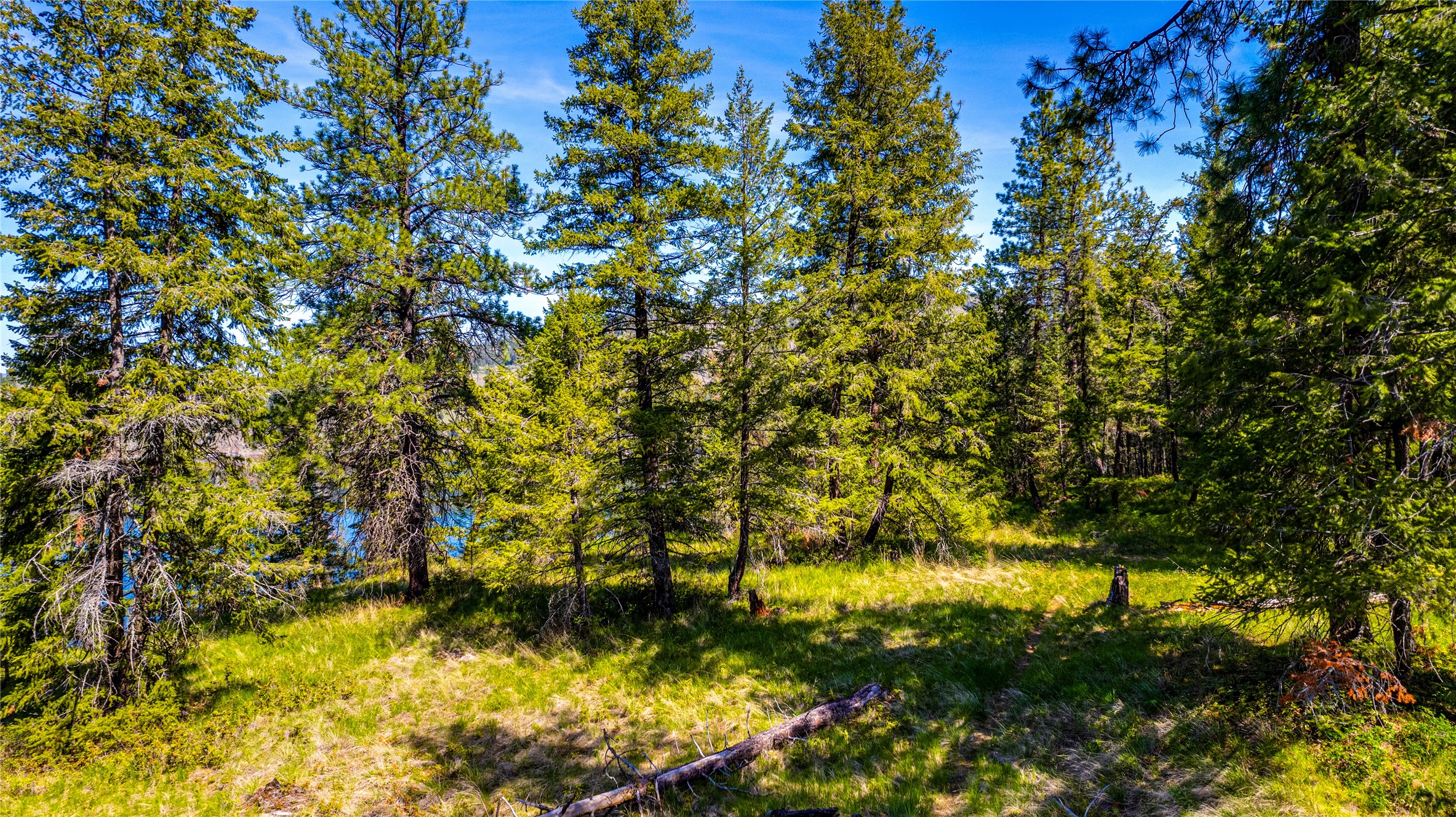 5893 Cosens Bay Road