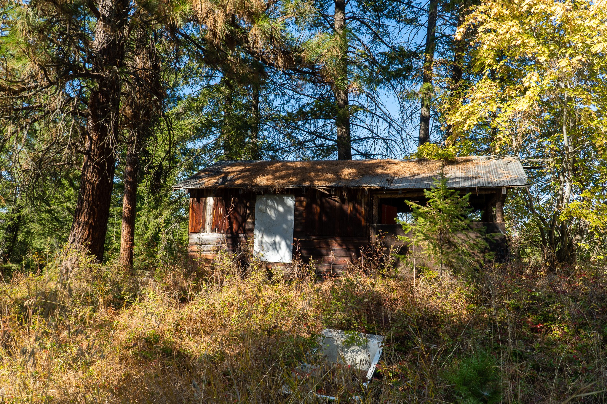 5893 Cosens Bay Road