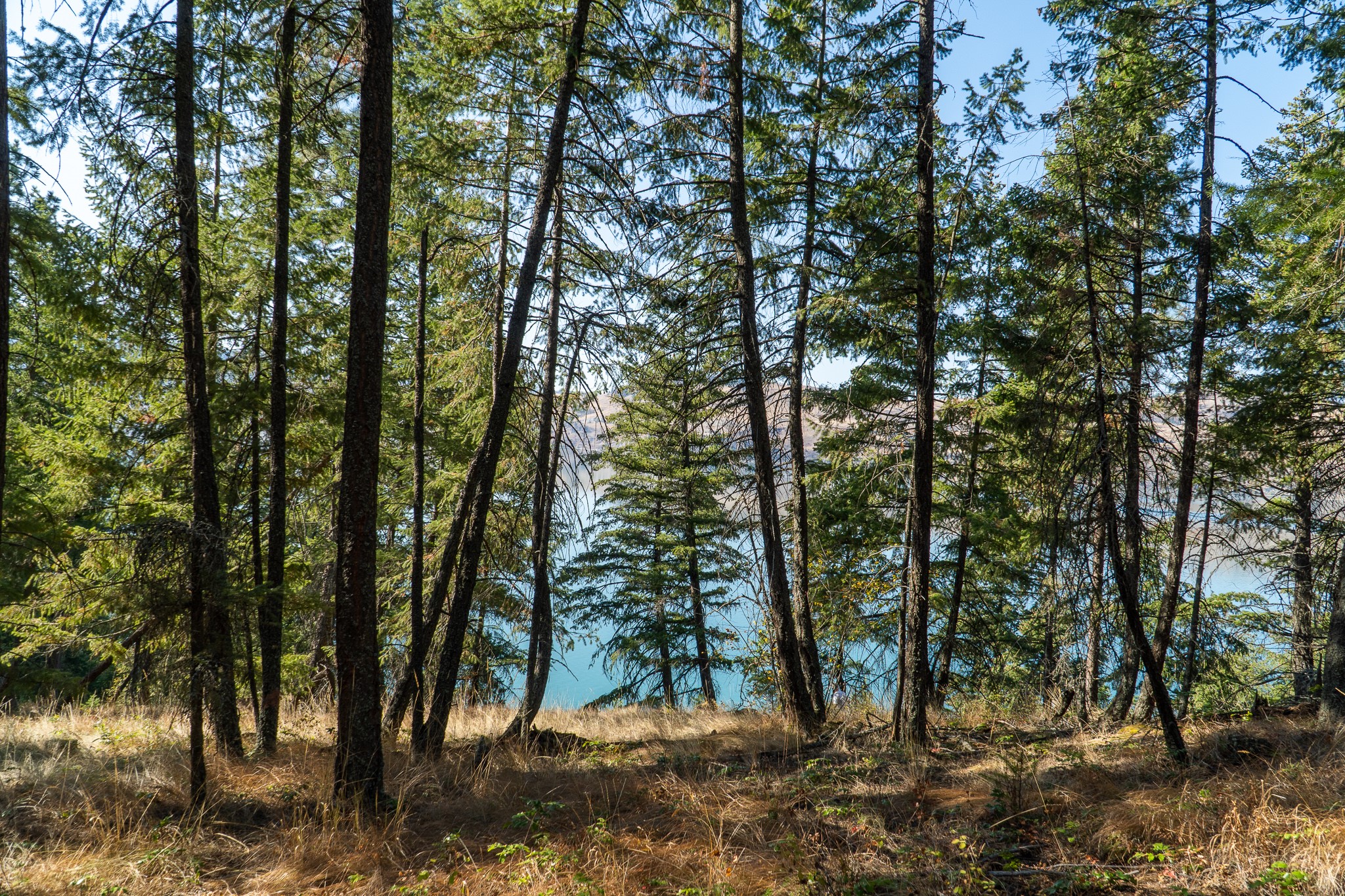 5893 Cosens Bay Road