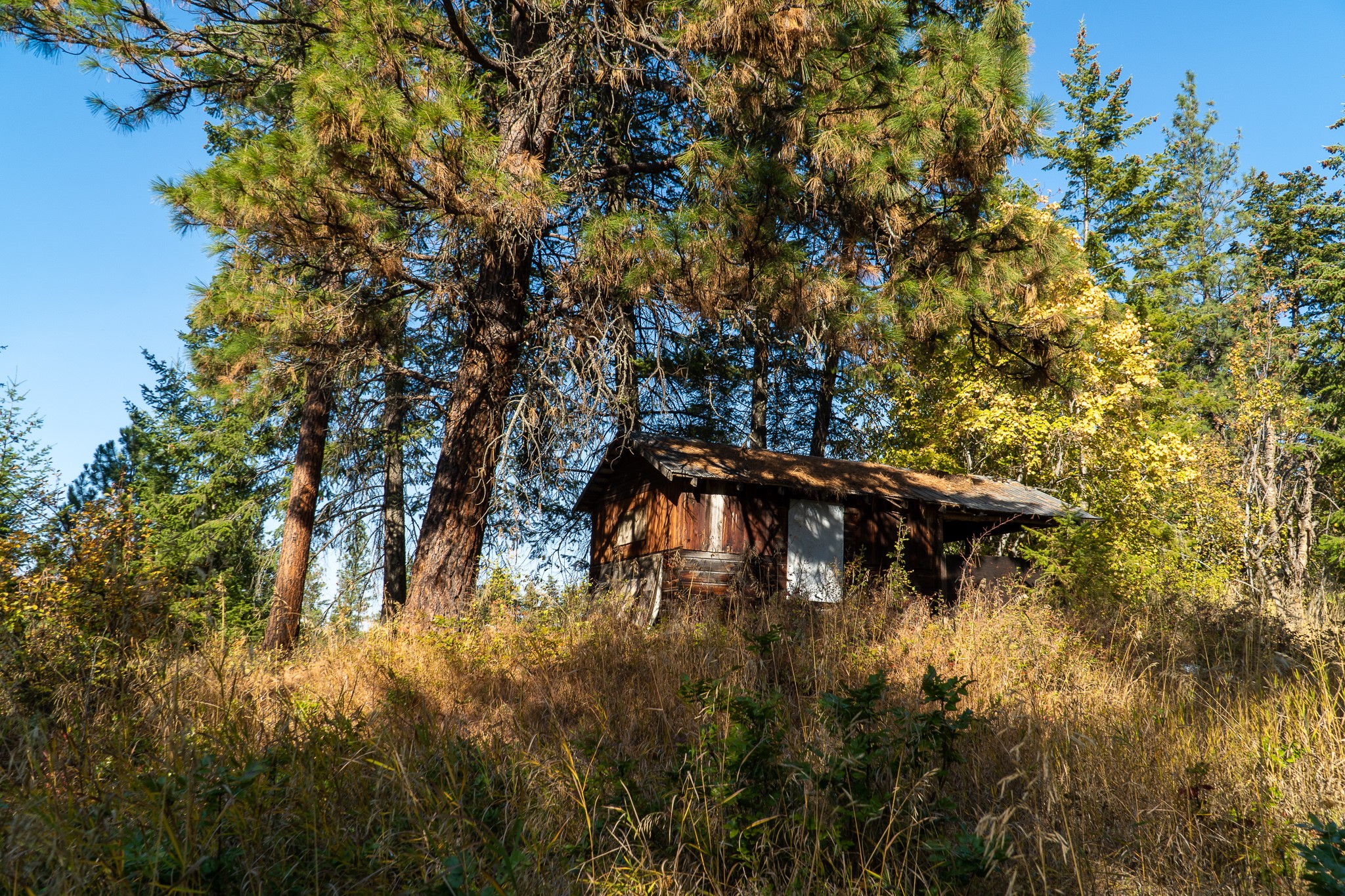 5893 Cosens Bay Road