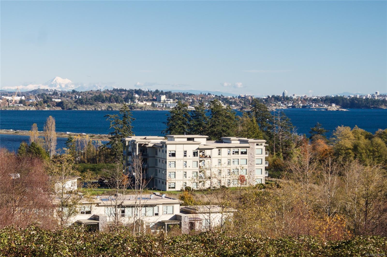 3230 Selleck Way # 203