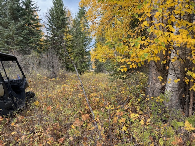 KM44 Christian Valley Road