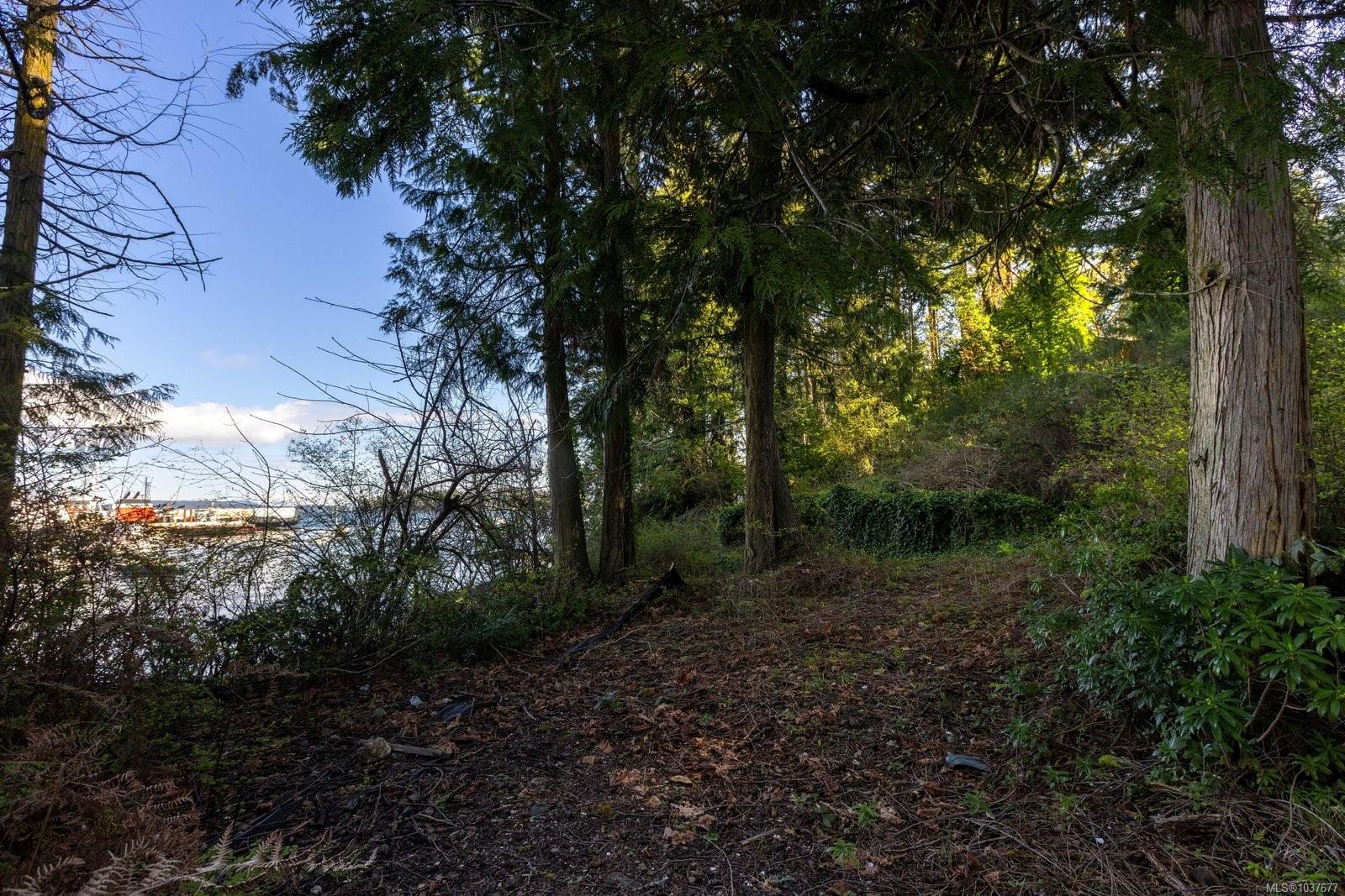 2218 Dolphin Rd