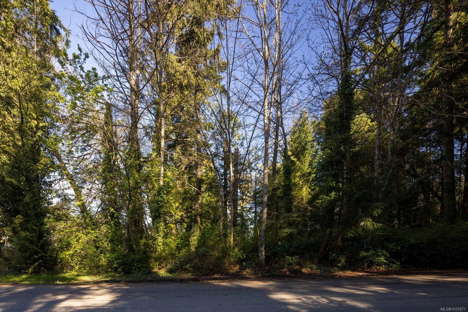 2218 Dolphin Rd