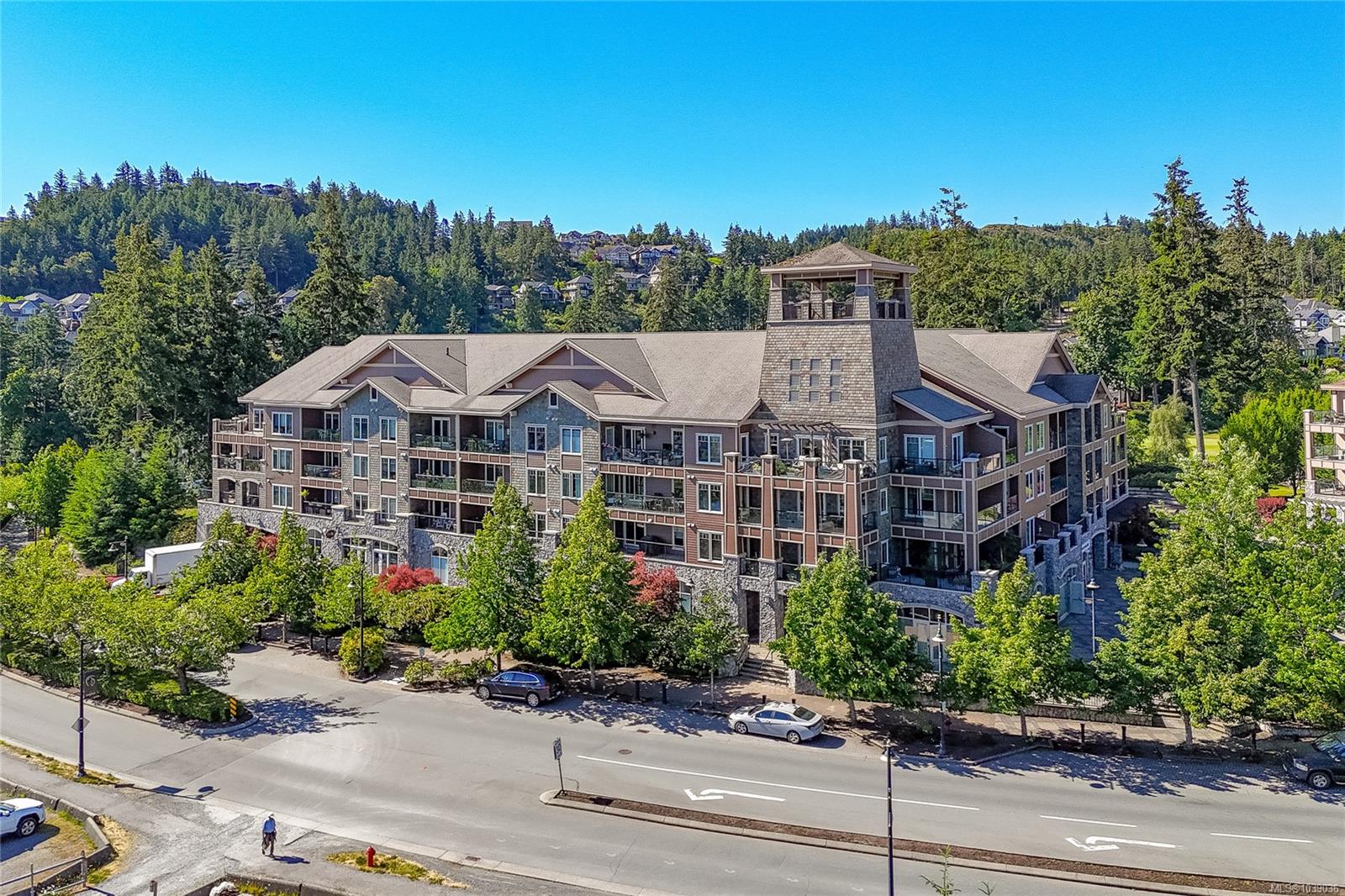 1325 Bear Mountain Pkwy #215