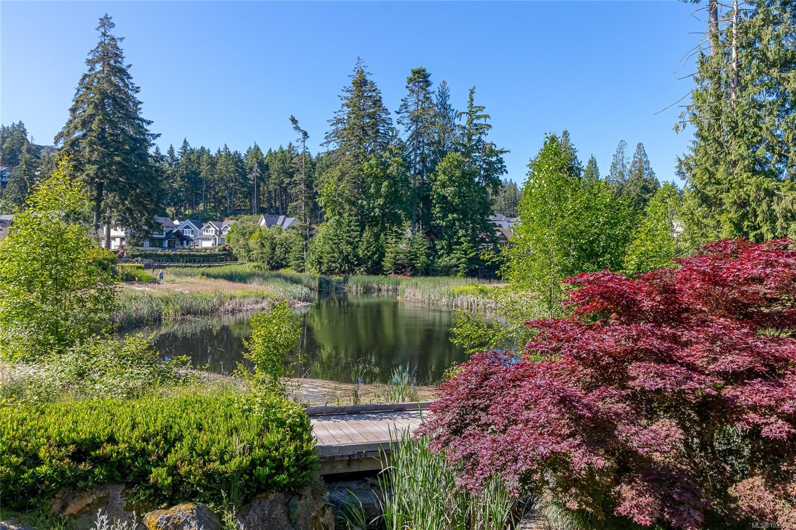 1325 Bear Mountain Pkwy #215