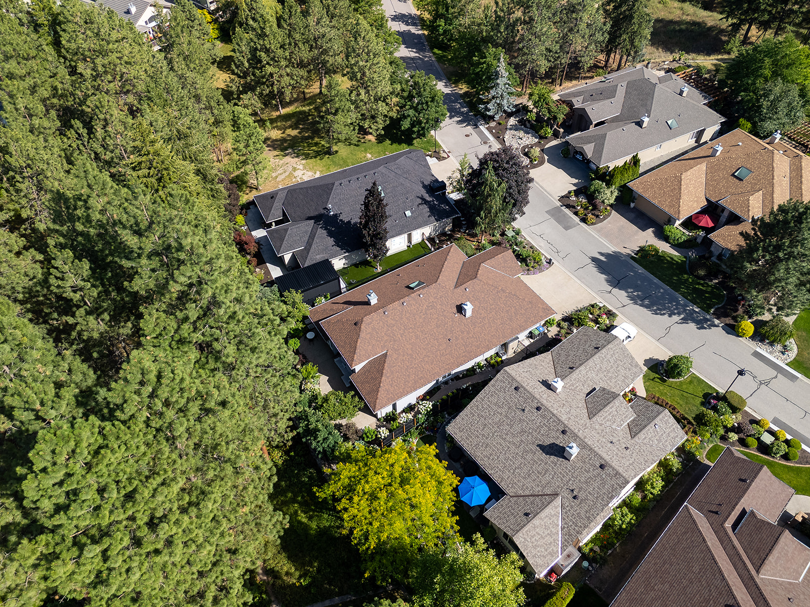 4332 Gallaghers Forest S Road
