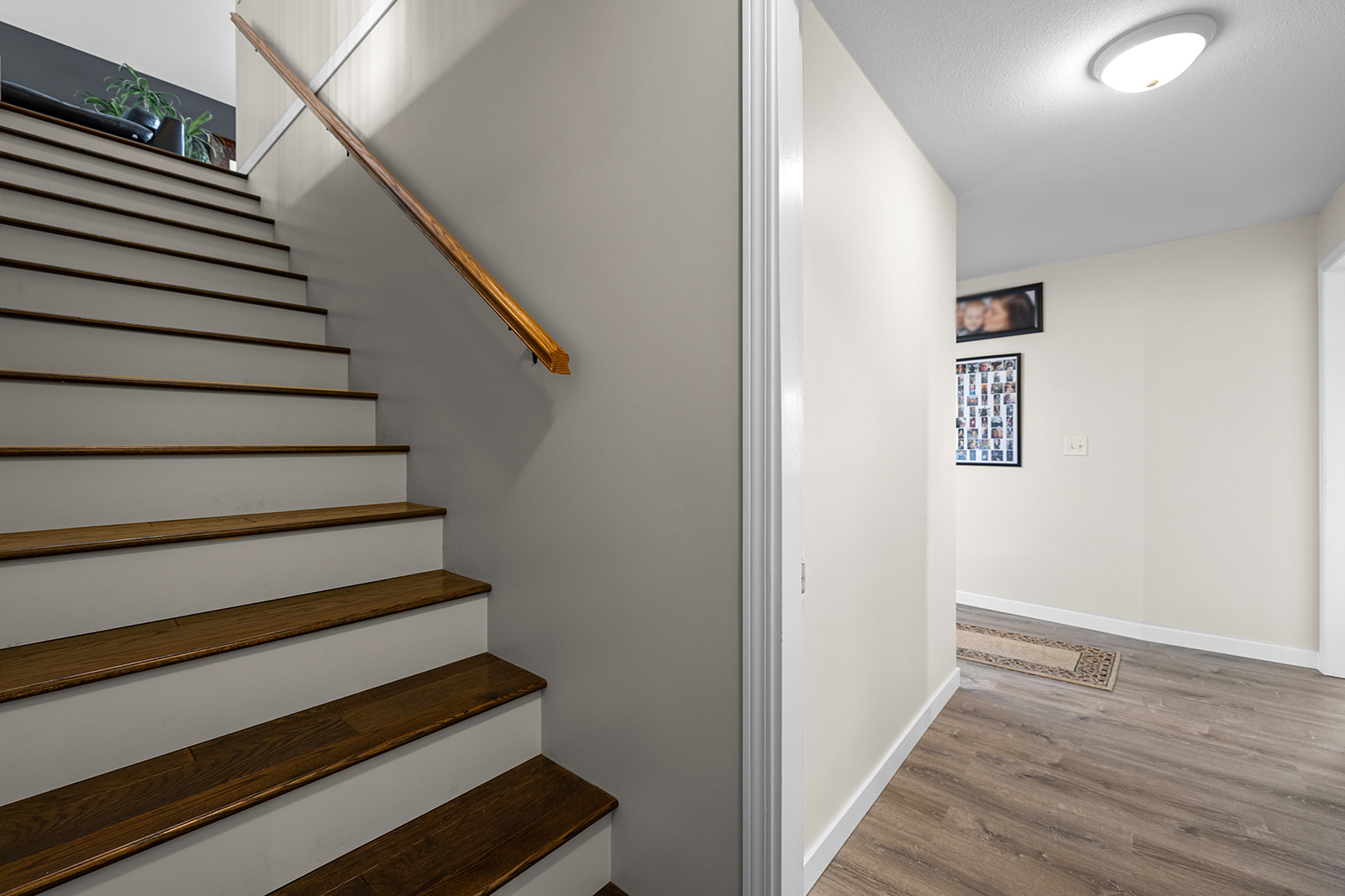 1619 Wilmot Court