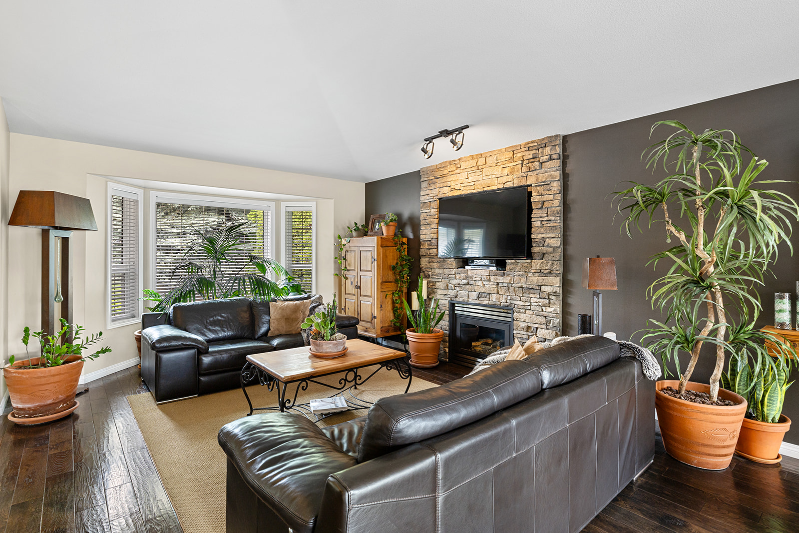 1619 Wilmot Court