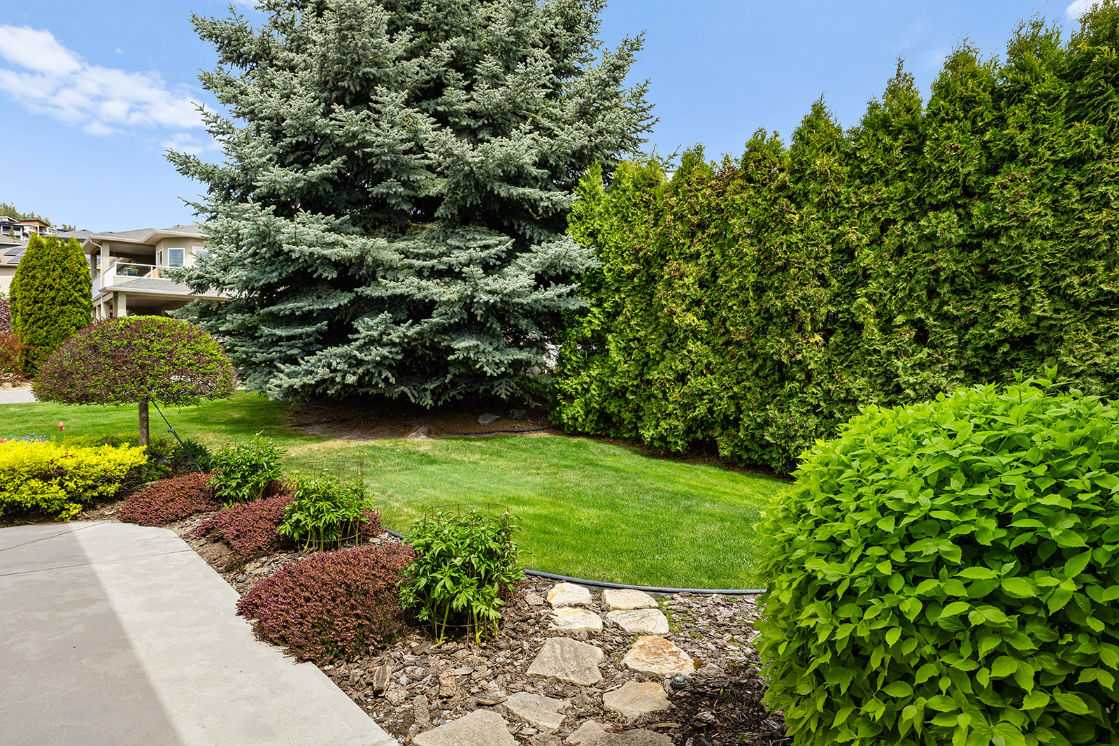 1619 Wilmot Court