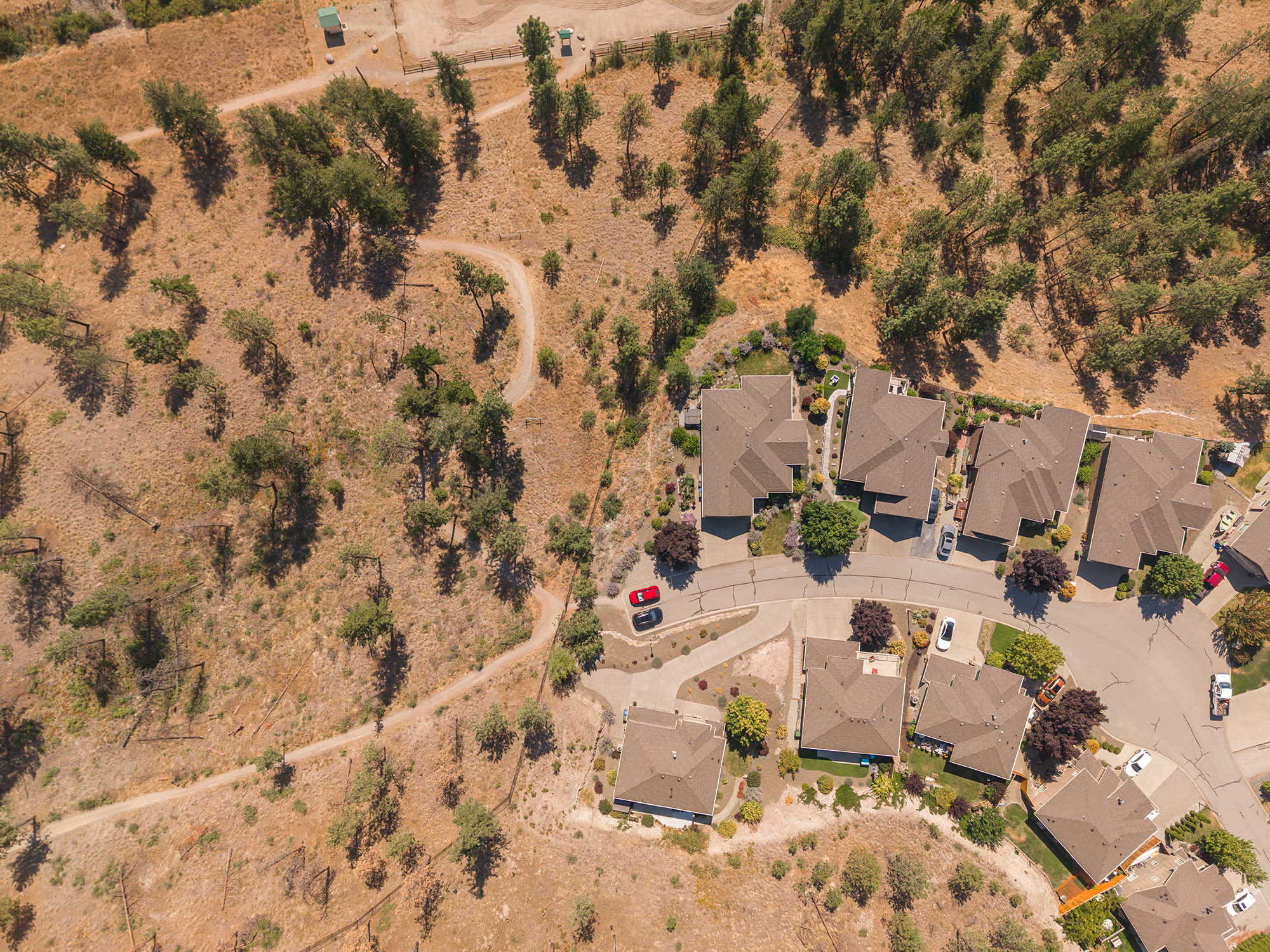 2040 Rosealee Lane 35