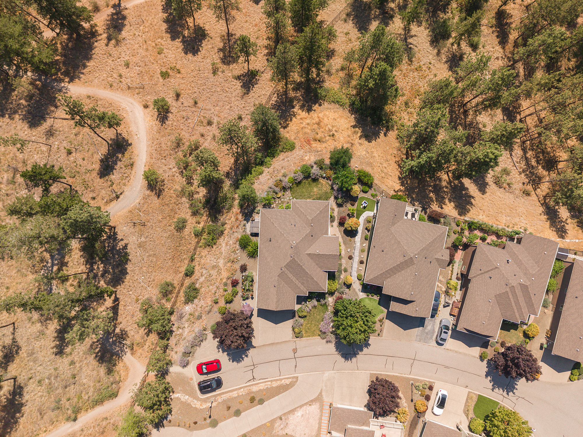2040 Rosealee Lane 35