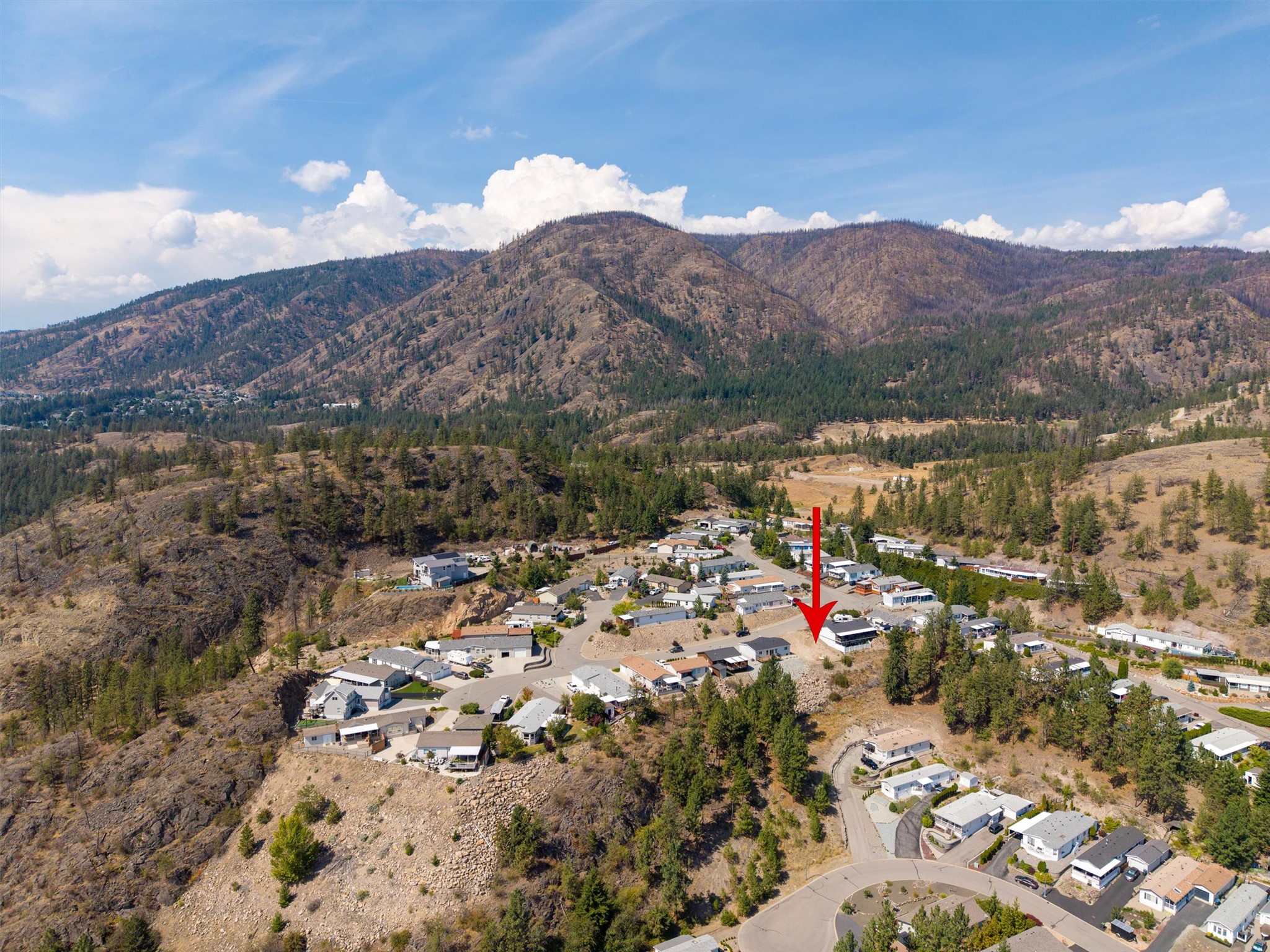 1750 Lenz Road 101